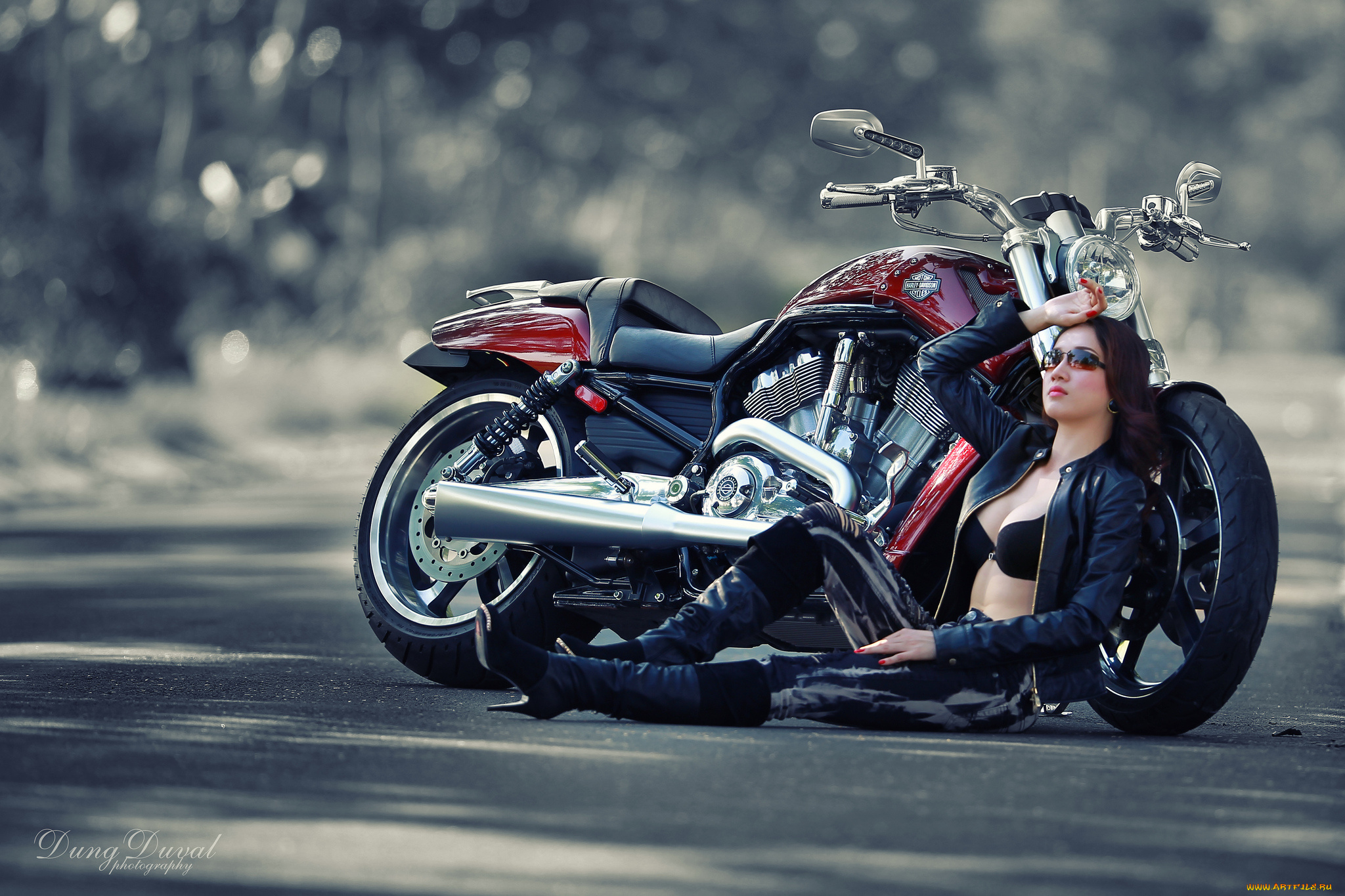Harley davidson bike motorcycle загрузить