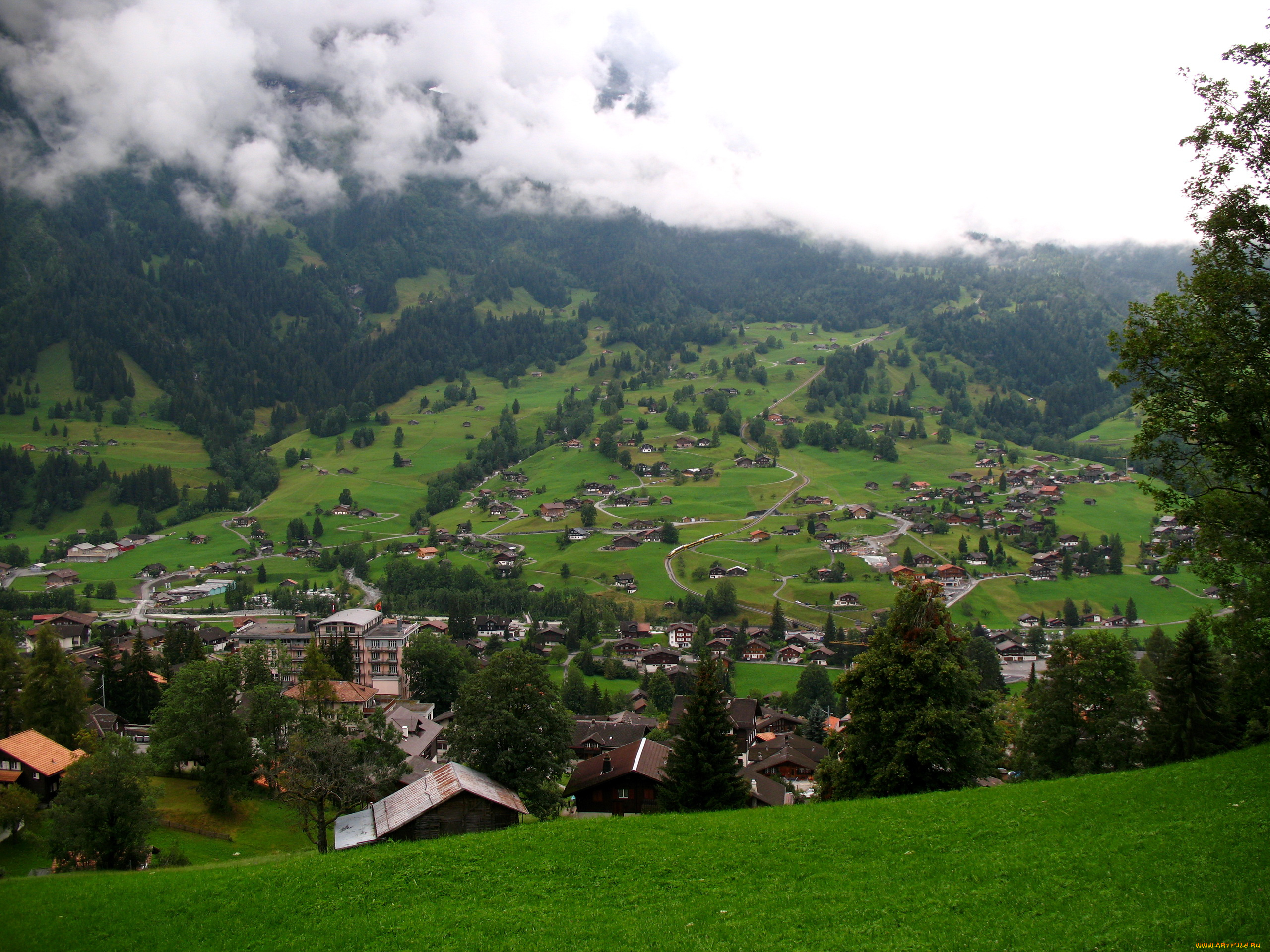 grindelwald, switzerland, города, пейзажи, дымка, дома, горы