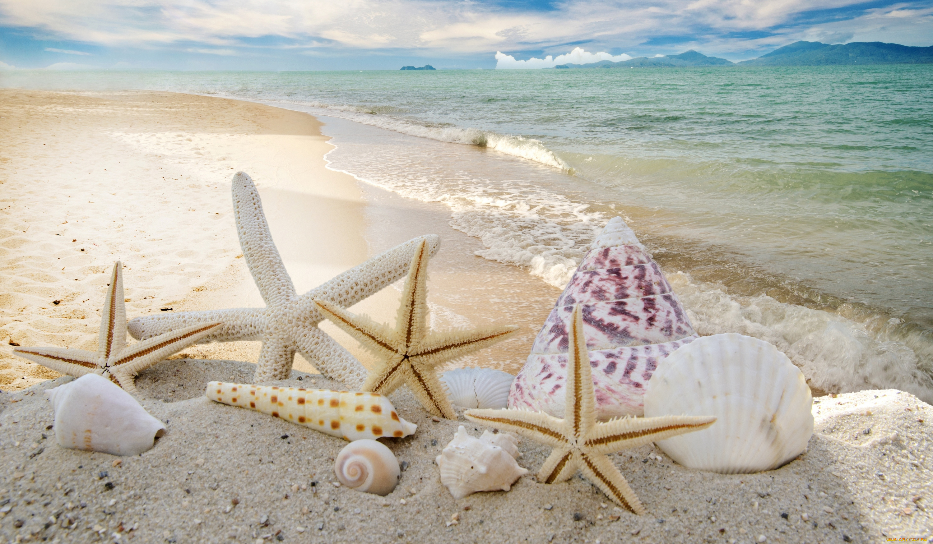 разное, ракушки, , кораллы, , декоративные, и, spa-камни, starfishes, seashells, пляж, summer, звезды, sky, sand, песок, солнце, море, sunshine, sea, beach