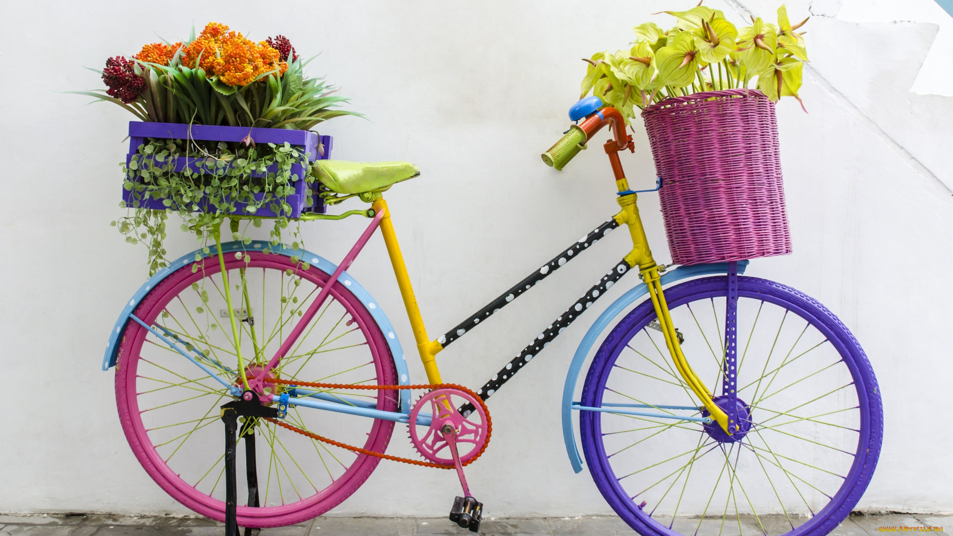 цветы, разные, вместе, flowers, ретро, букет, флористика, велосипед