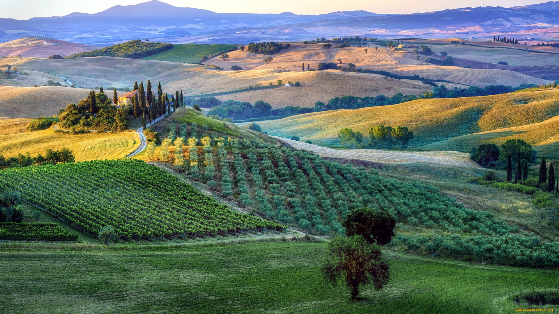 тоскана, италия, природа, пейзажи