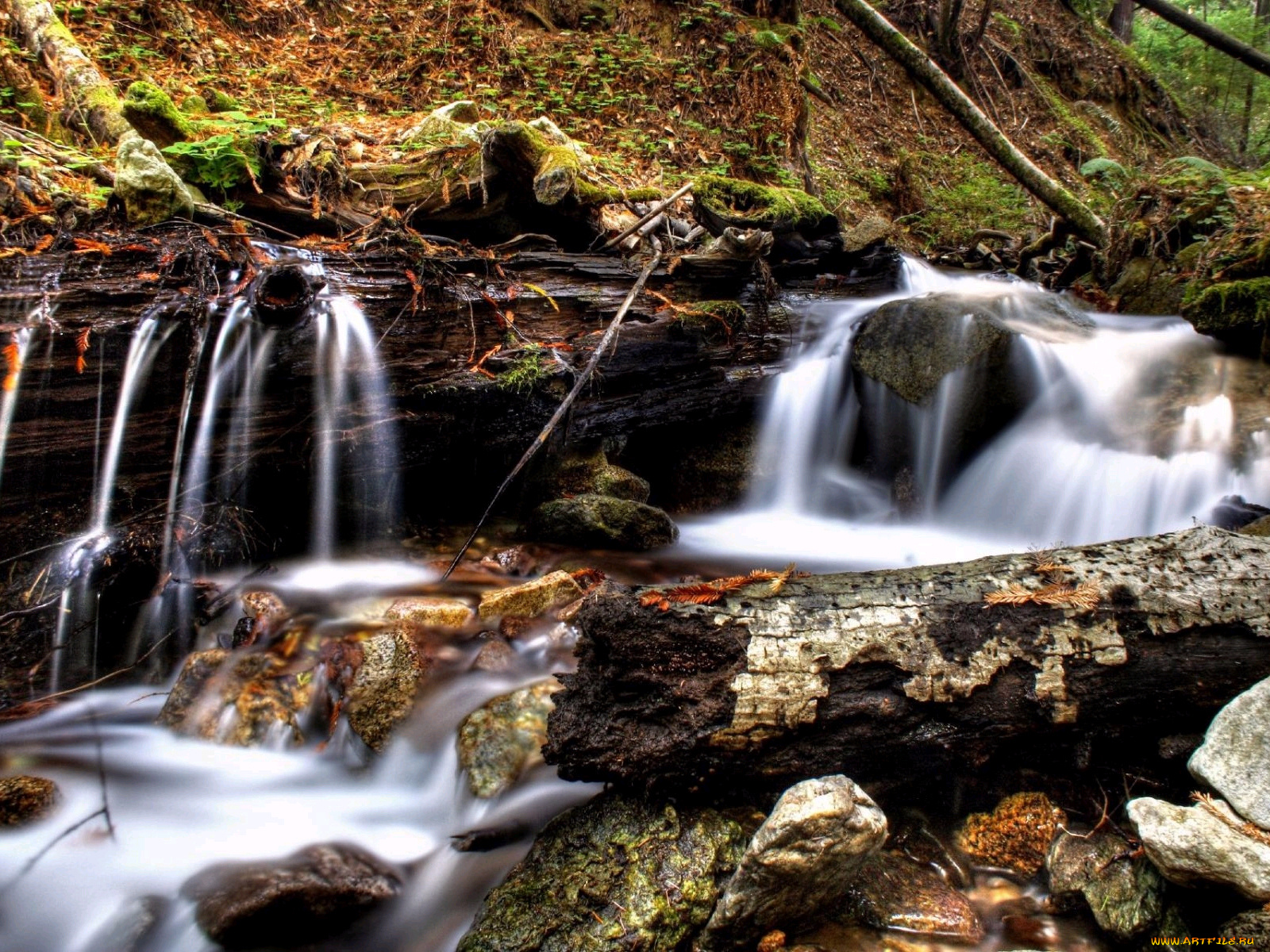 природа, реки, озера, камни, бревна, вода