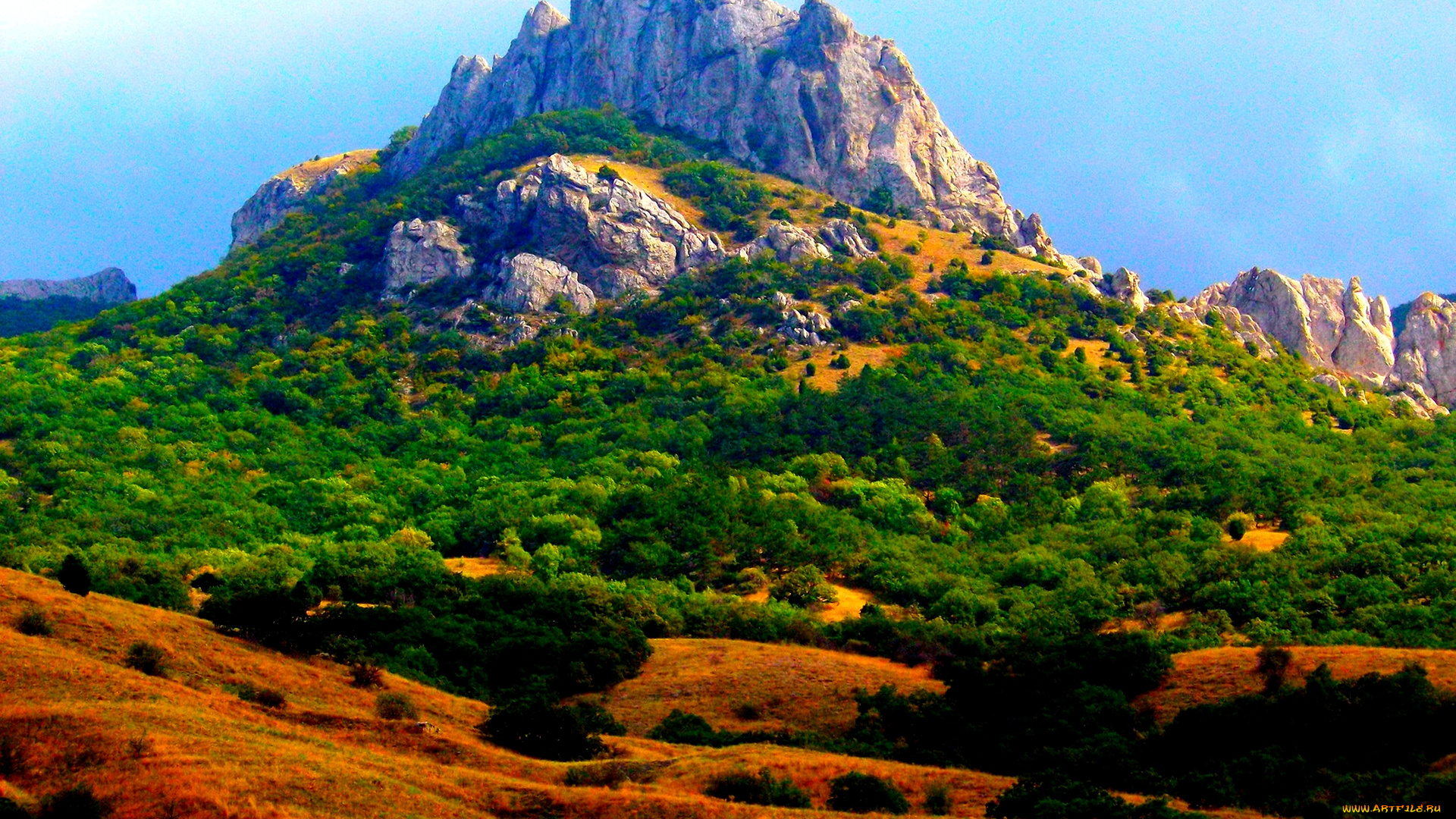 mountain, природа, горы, лес, вершина, панорама