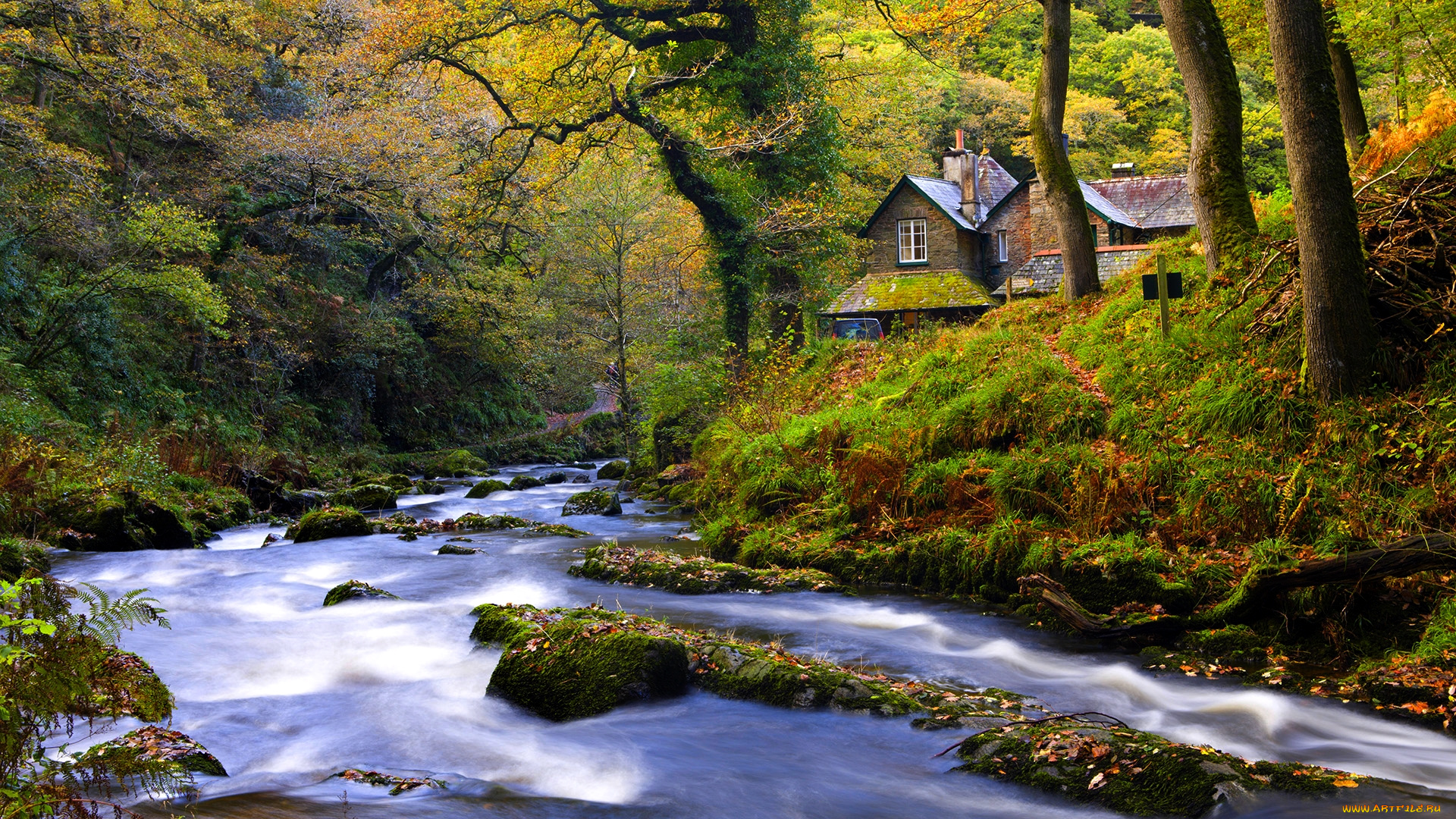 waters, meet, in, autumn, природа, реки, озера, лес, река, домик