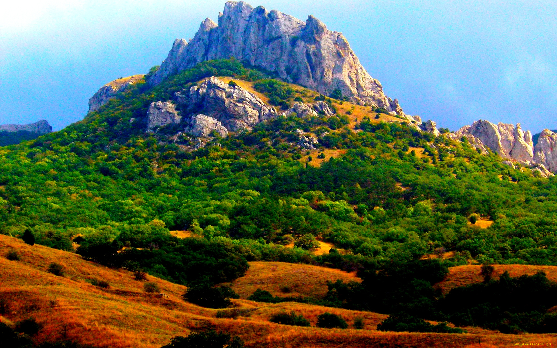 mountain, природа, горы, лес, вершина, панорама