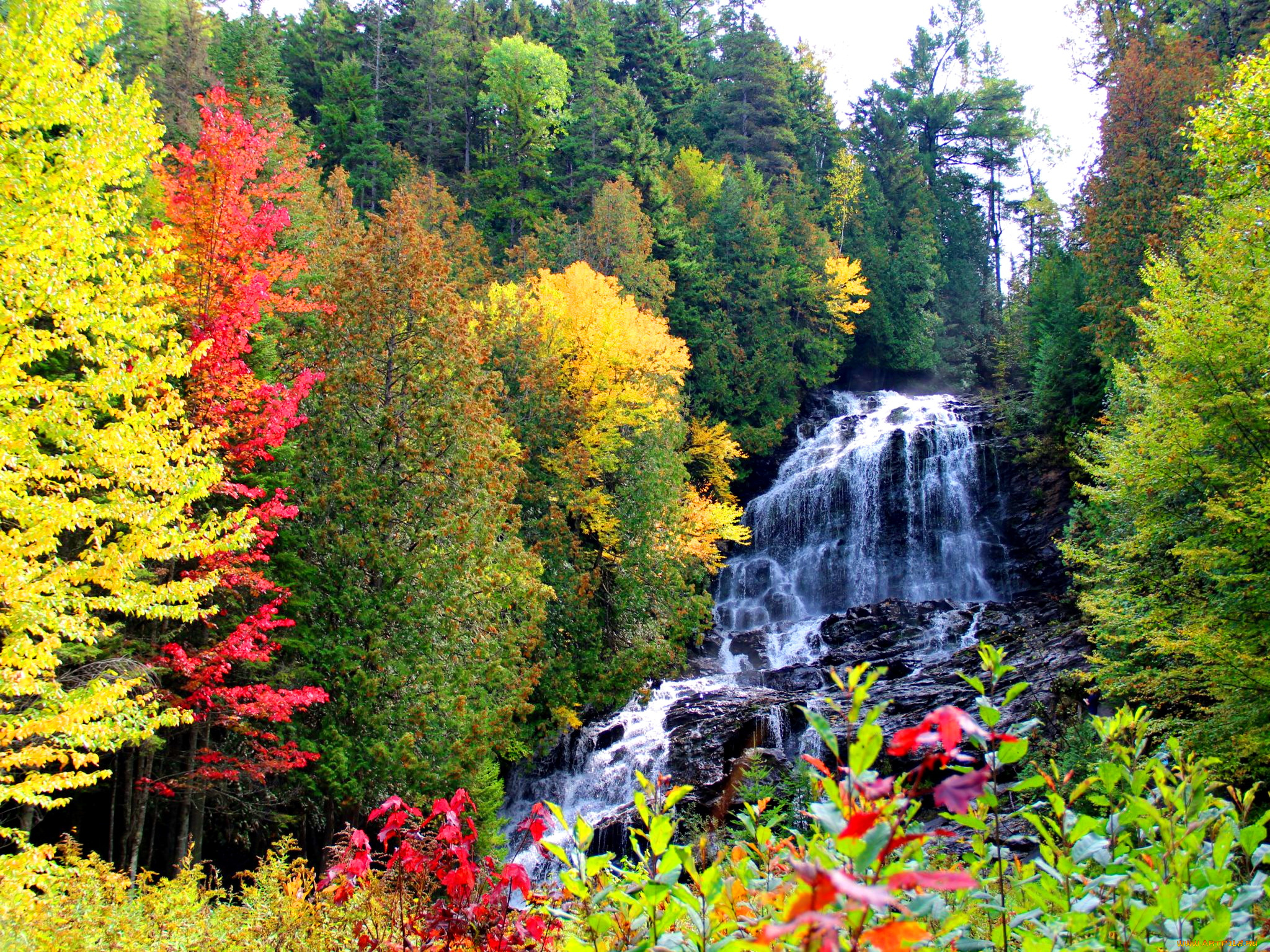 beaver, brook, falls, природа, водопады, водопад, осень, река, лес, краски