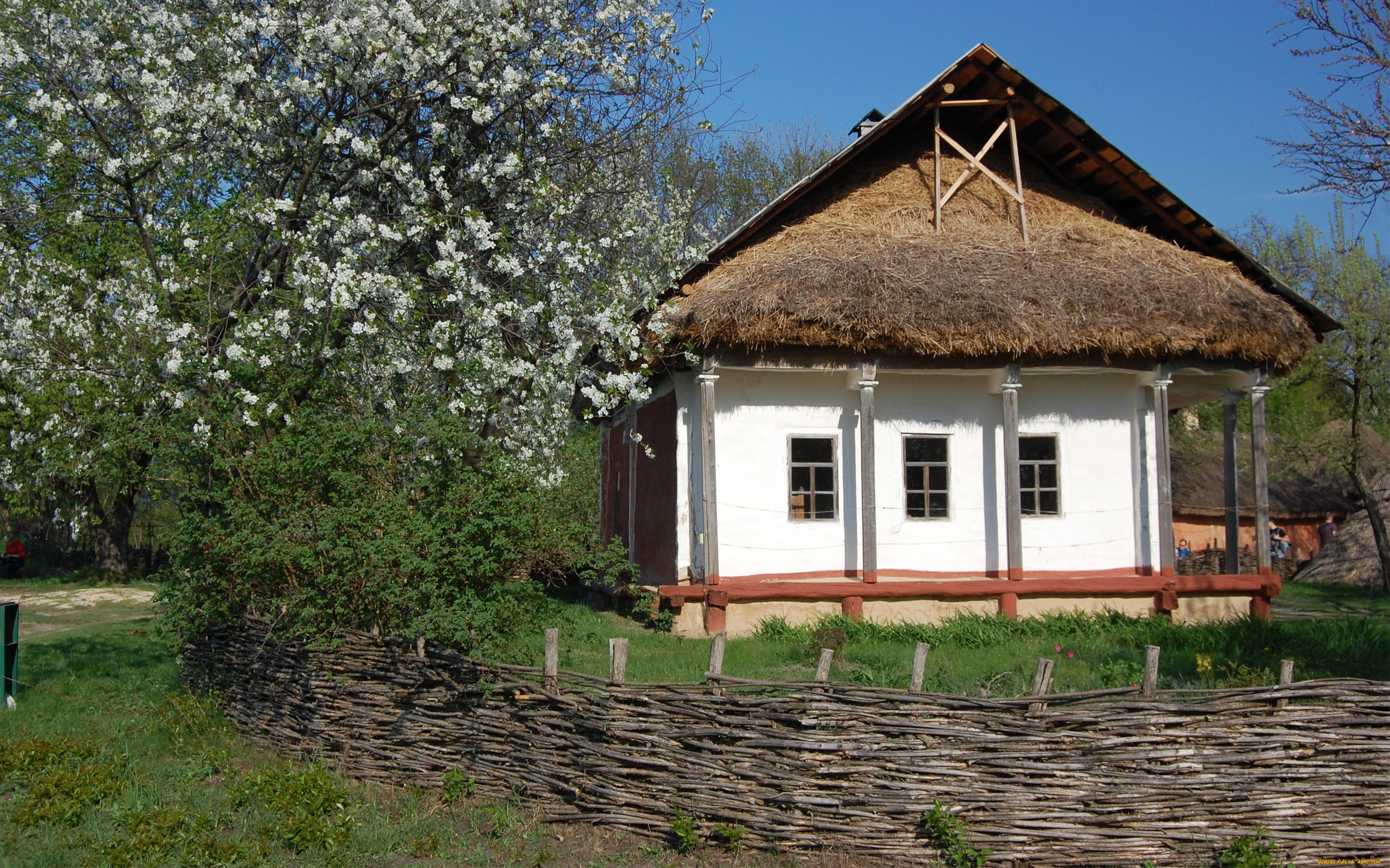 разное, сооружения, постройки, украинская, хата, плетень, яблоня, цветы