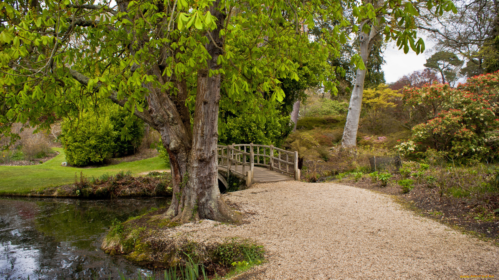 exbury, , england, природа, парк, река, мостик, кусты, англия