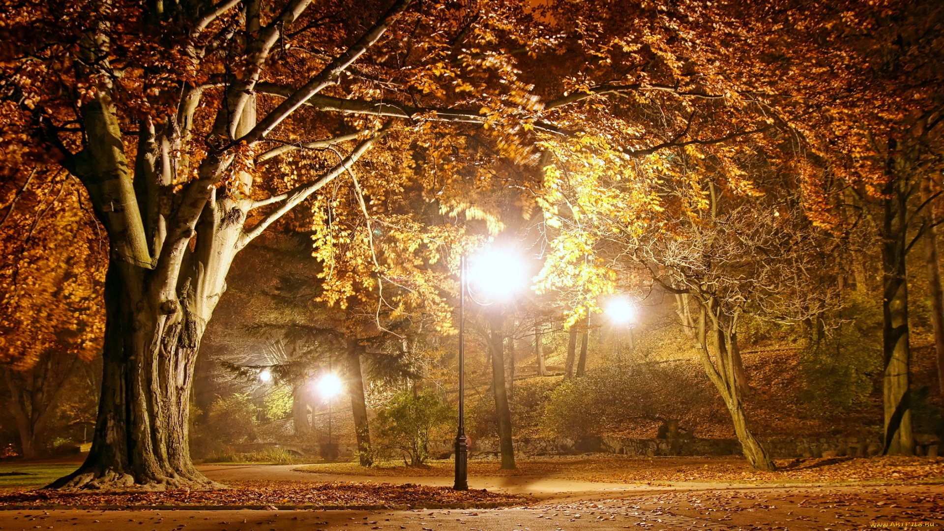 природа, парк, autumn, park, пейзаж, fall, season, lights, night, осень, вечер