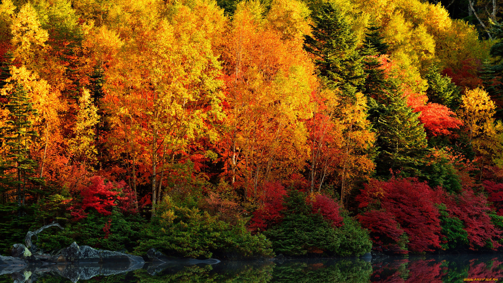 природа, реки, озера, деревья, осень, отражение, река, листья, багрянец, лес