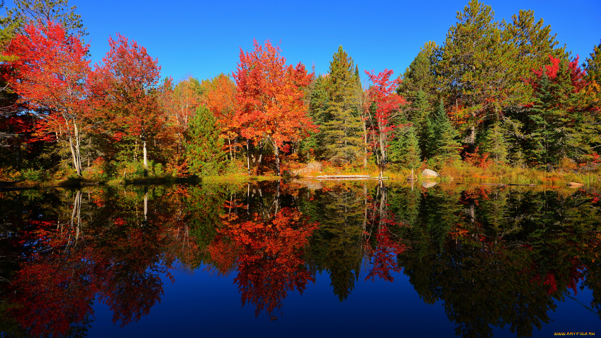 природа, реки, озера, пруд, лес, небо, отражение, осень, деревья
