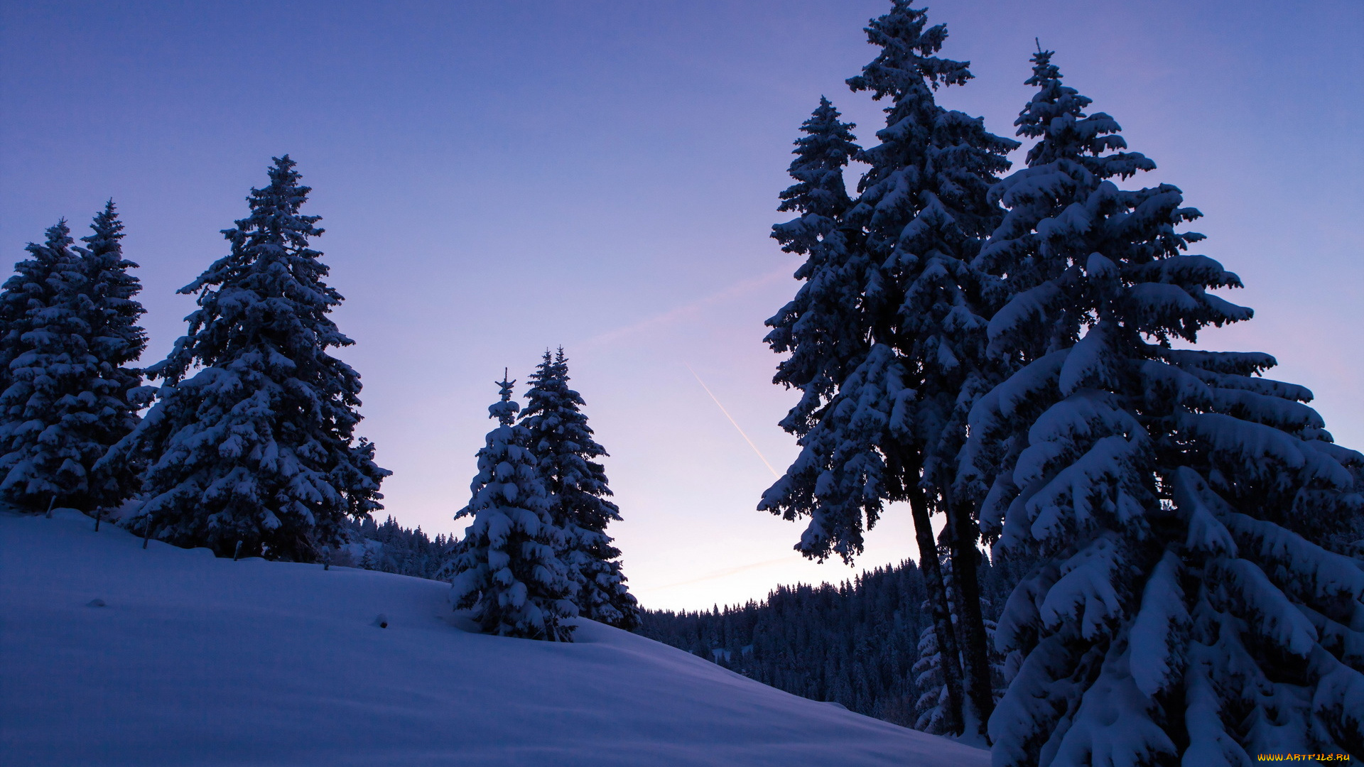 природа, зима, ночь, снег, деревья