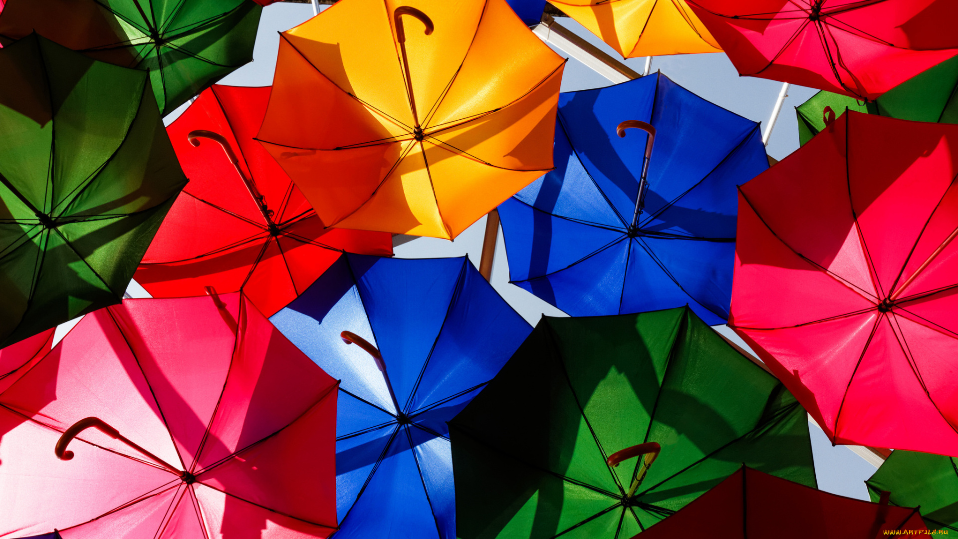 разное, сумки, , кошельки, , зонты, яркие, разноцветные, зонты