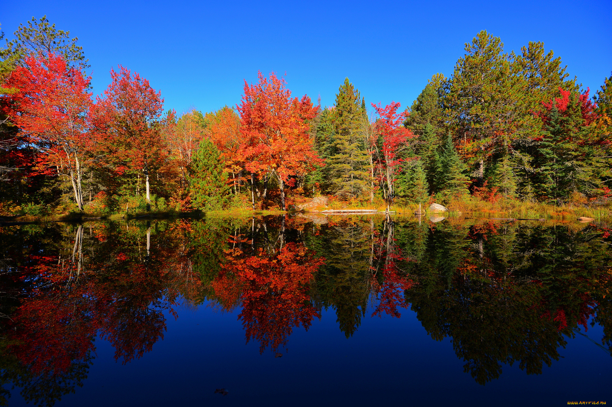 природа, реки, озера, пруд, лес, небо, отражение, осень, деревья