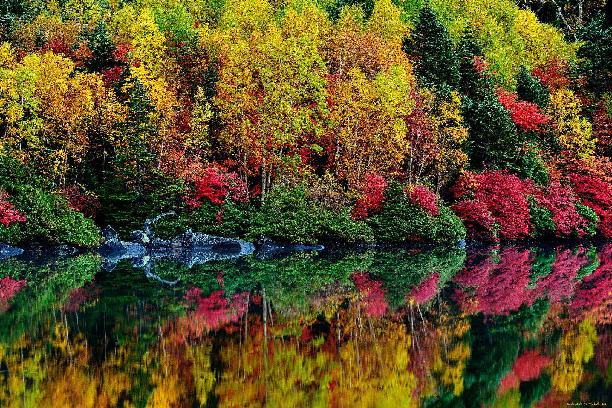 природа, реки, озера, багрянец, листья, осень, река, кусты, деревья, лес