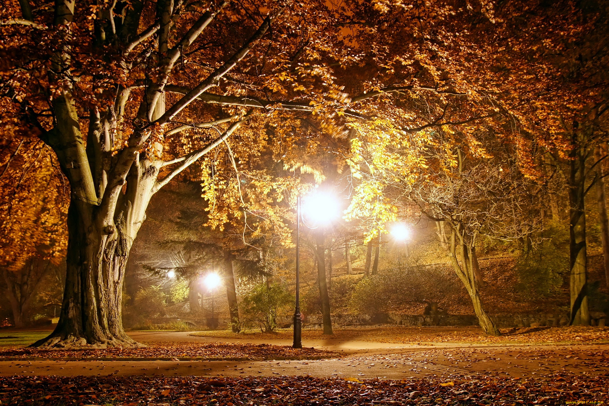 природа, парк, autumn, park, пейзаж, fall, season, lights, night, осень, вечер