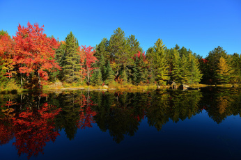 Картинка природа реки озера закат небо осень деревья лес озеро пруд