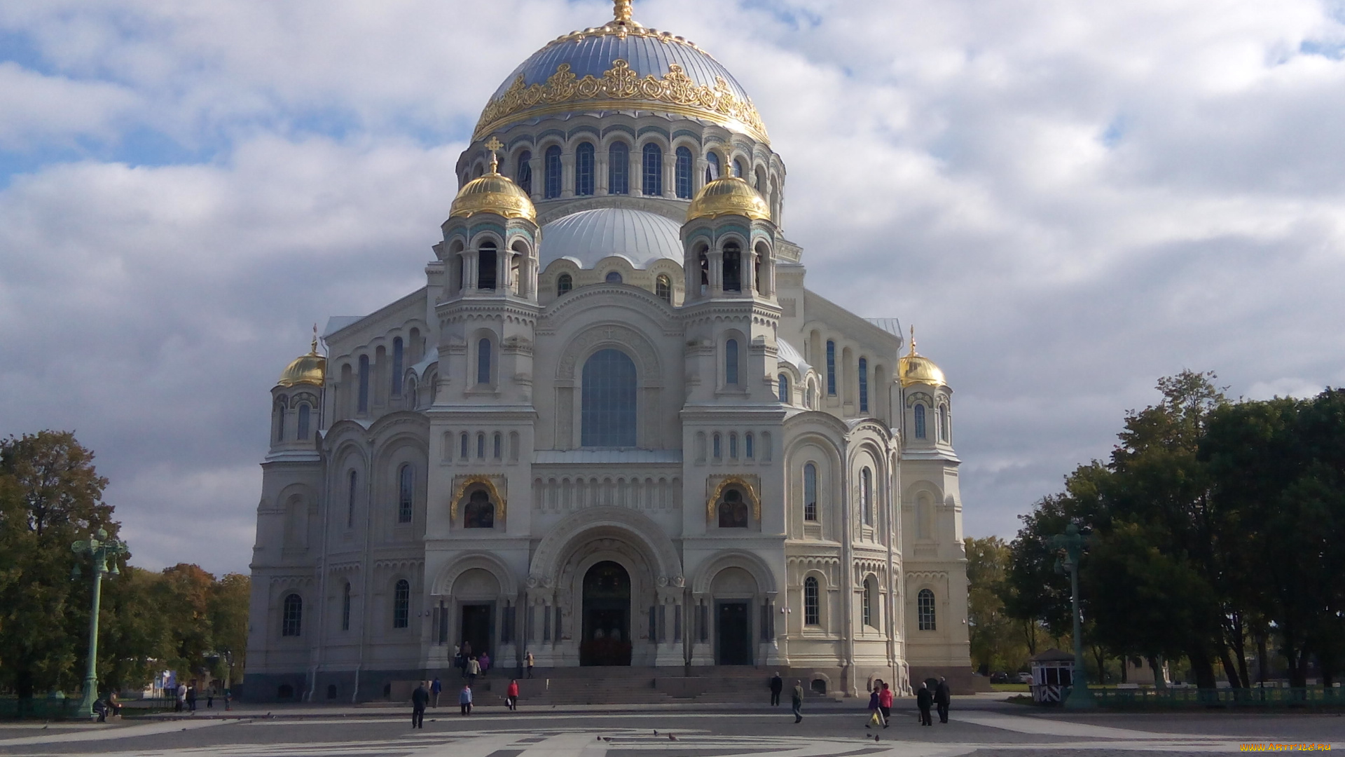 на фотографии представлен