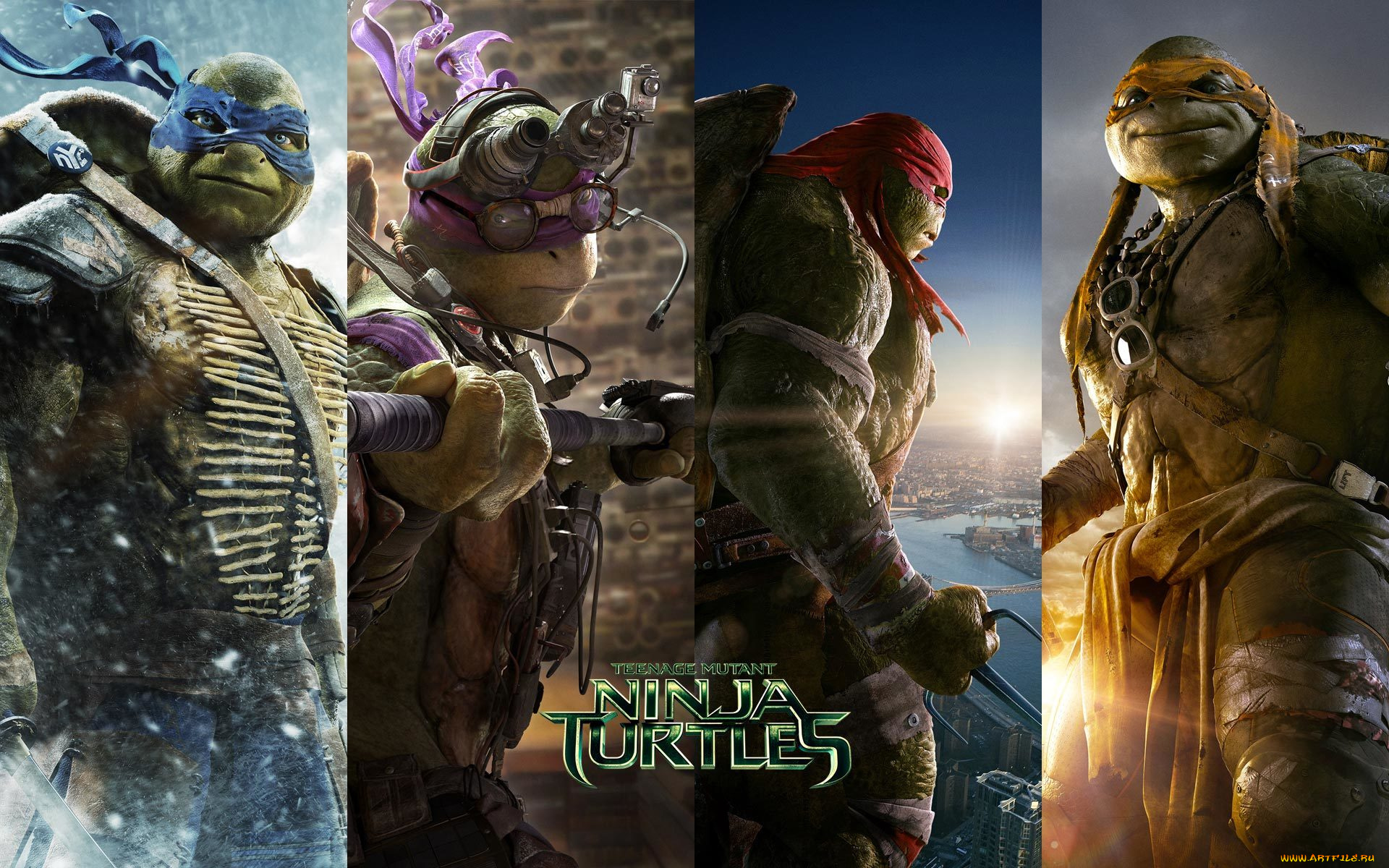 мультфильмы, tmnt, donatello, leonardo, michelangelo, raphael, донателло, леонардо, рафаель, микеланджело