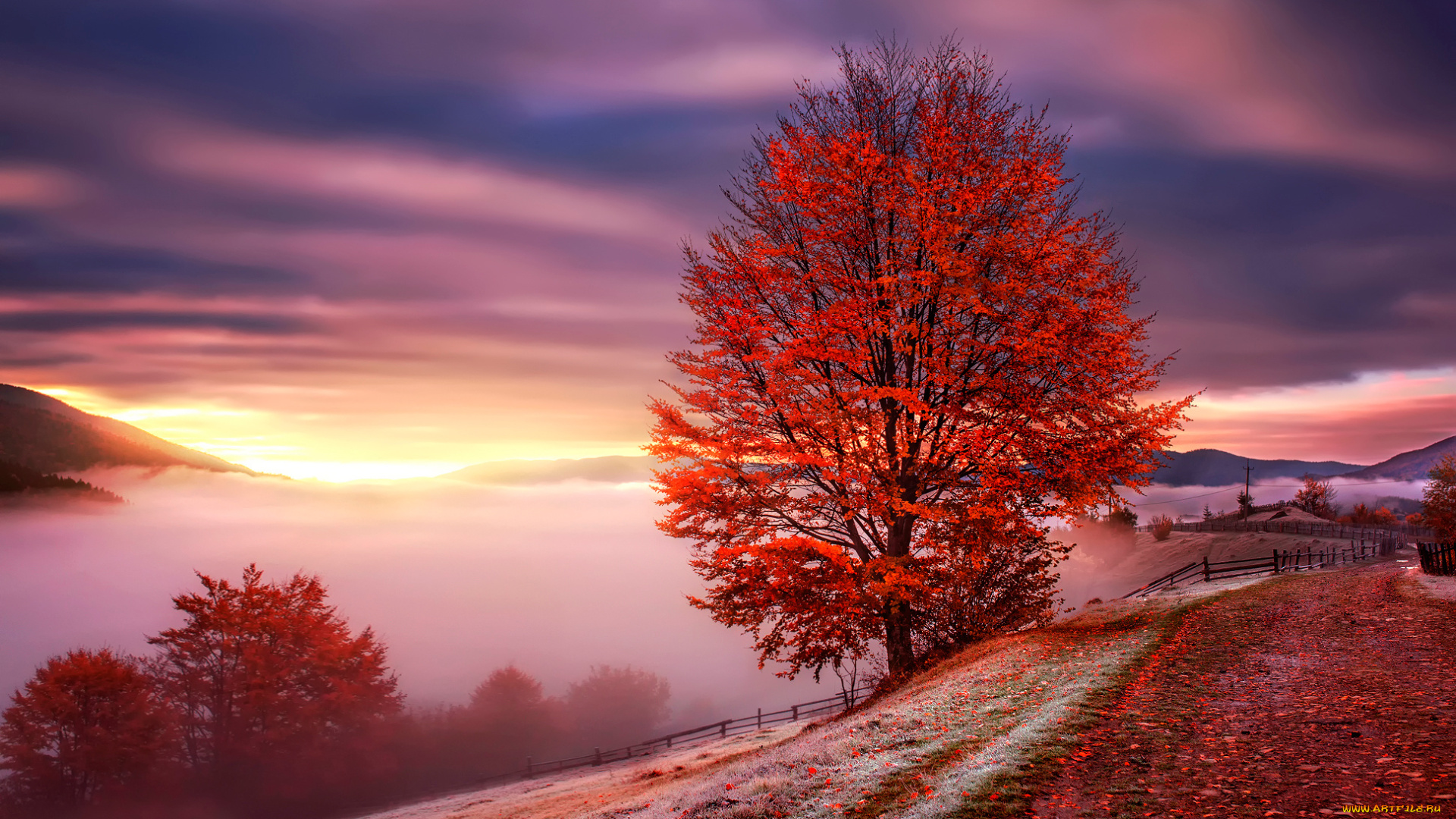 природа, восходы, закаты, горы, туман, карпаты, осень, рассвет, украина
