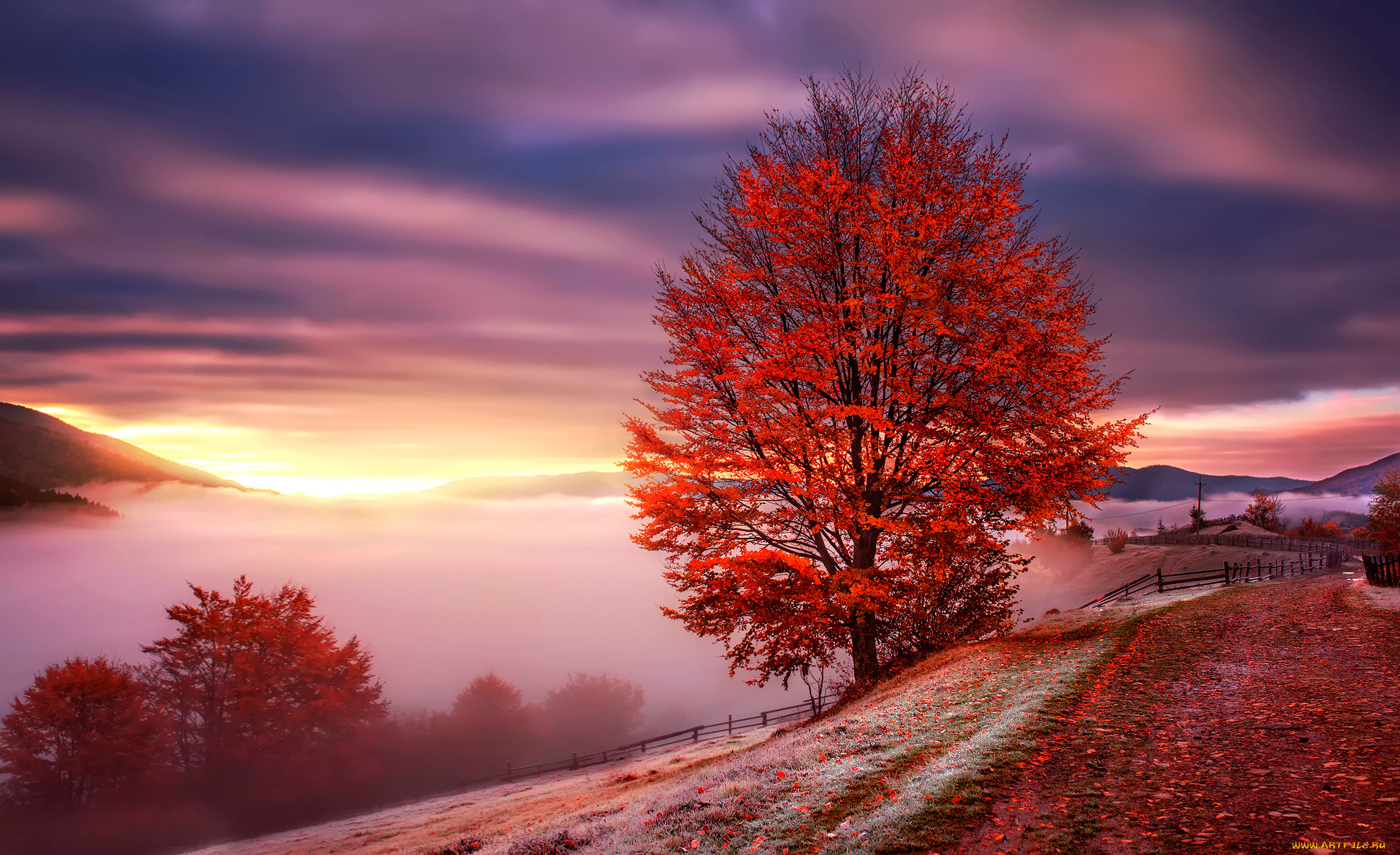 природа, восходы, закаты, горы, туман, карпаты, осень, рассвет, украина