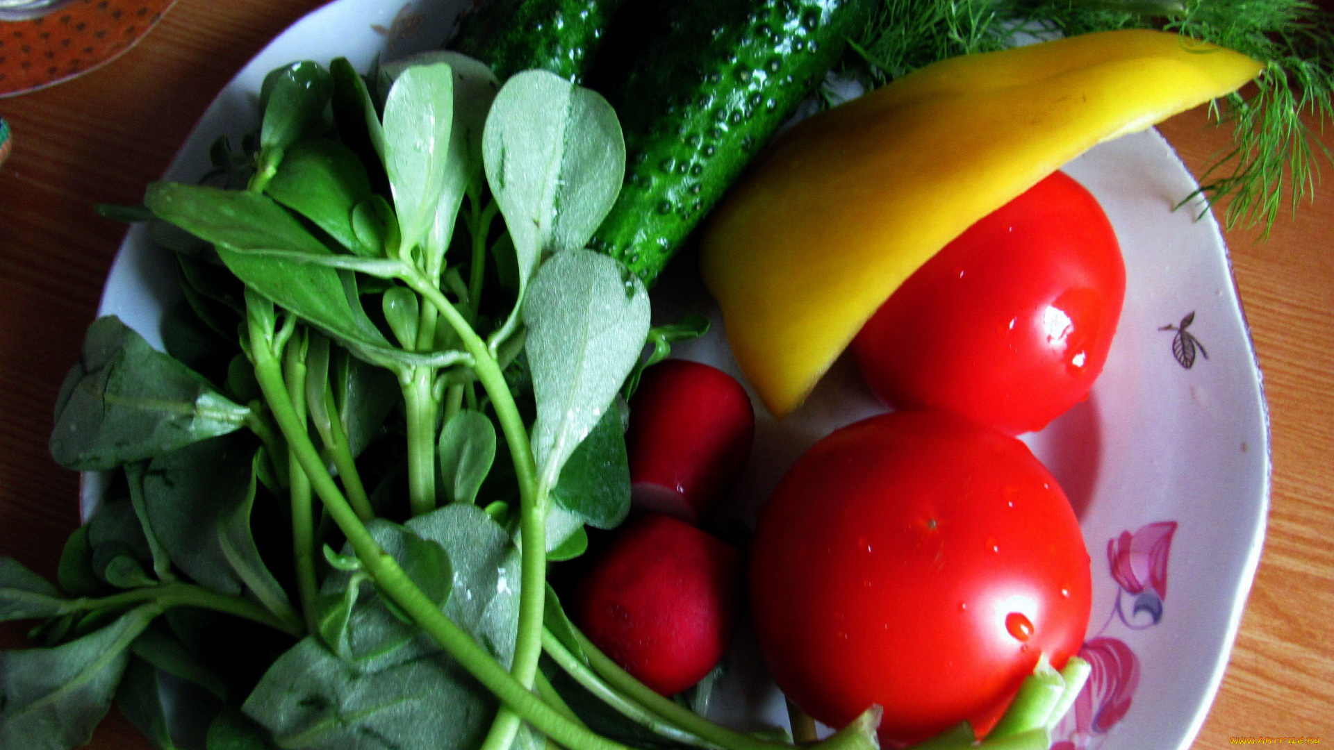 еда, овощи, салат, перец, укроп, огурец, редис, помидор