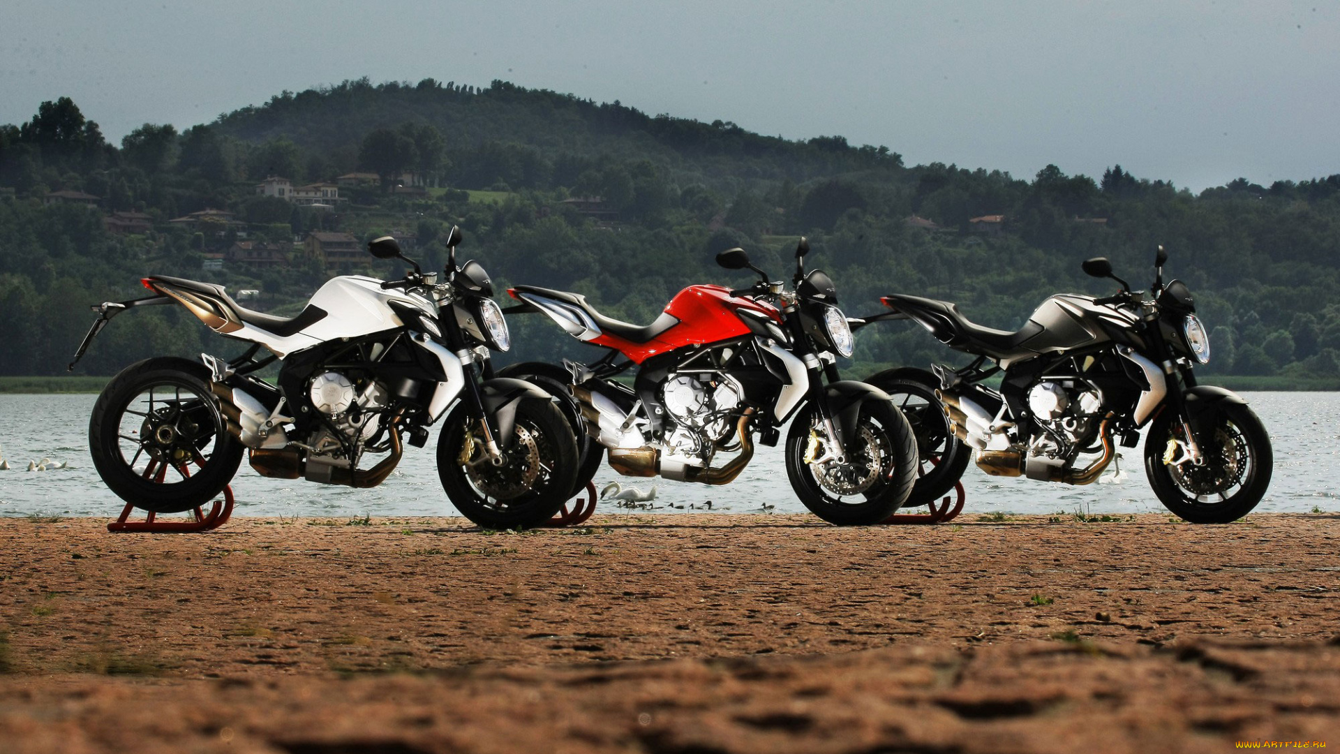 мотоциклы, mv, agusta, mv, augusta