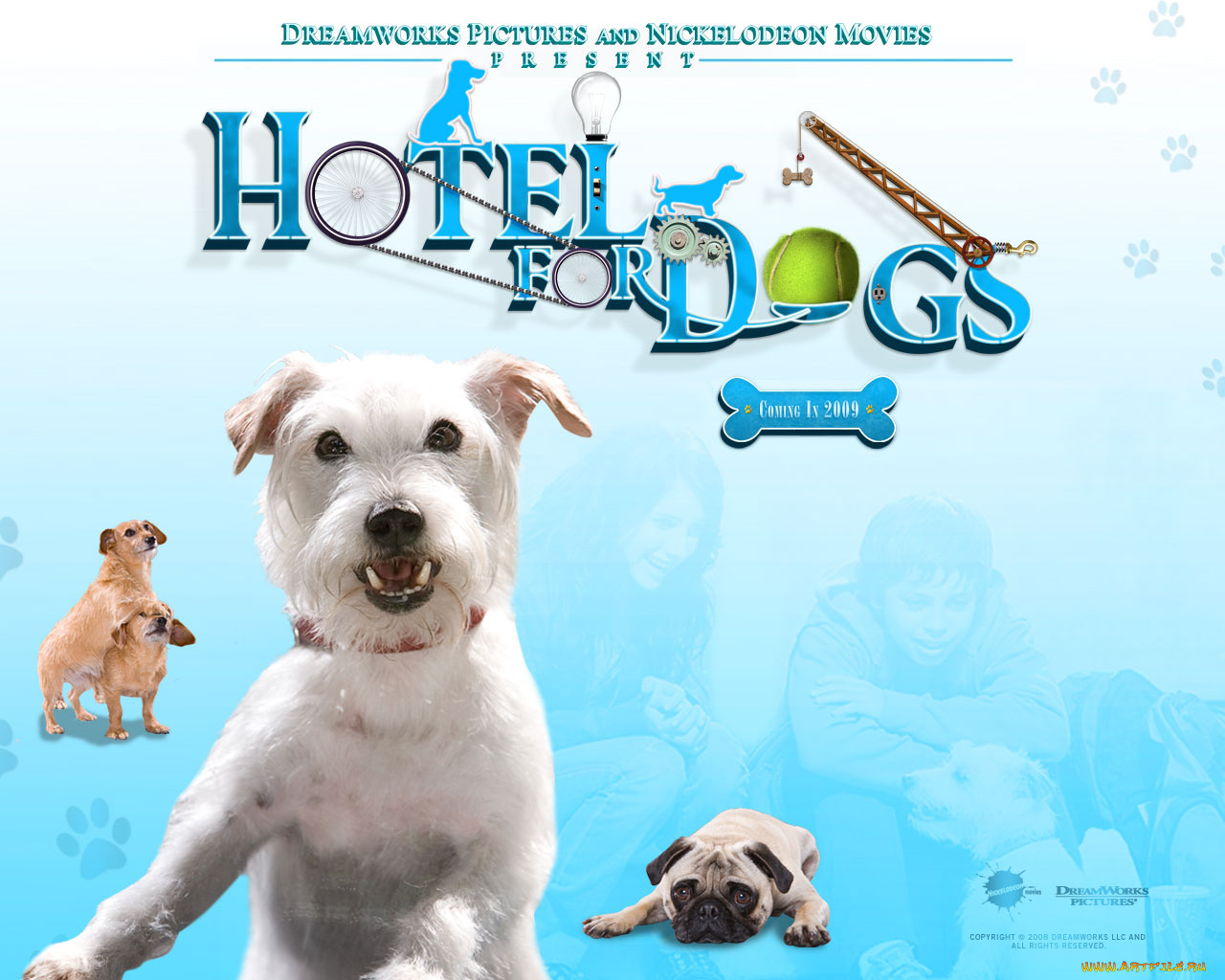 hotel, for, dogs, кино, фильмы