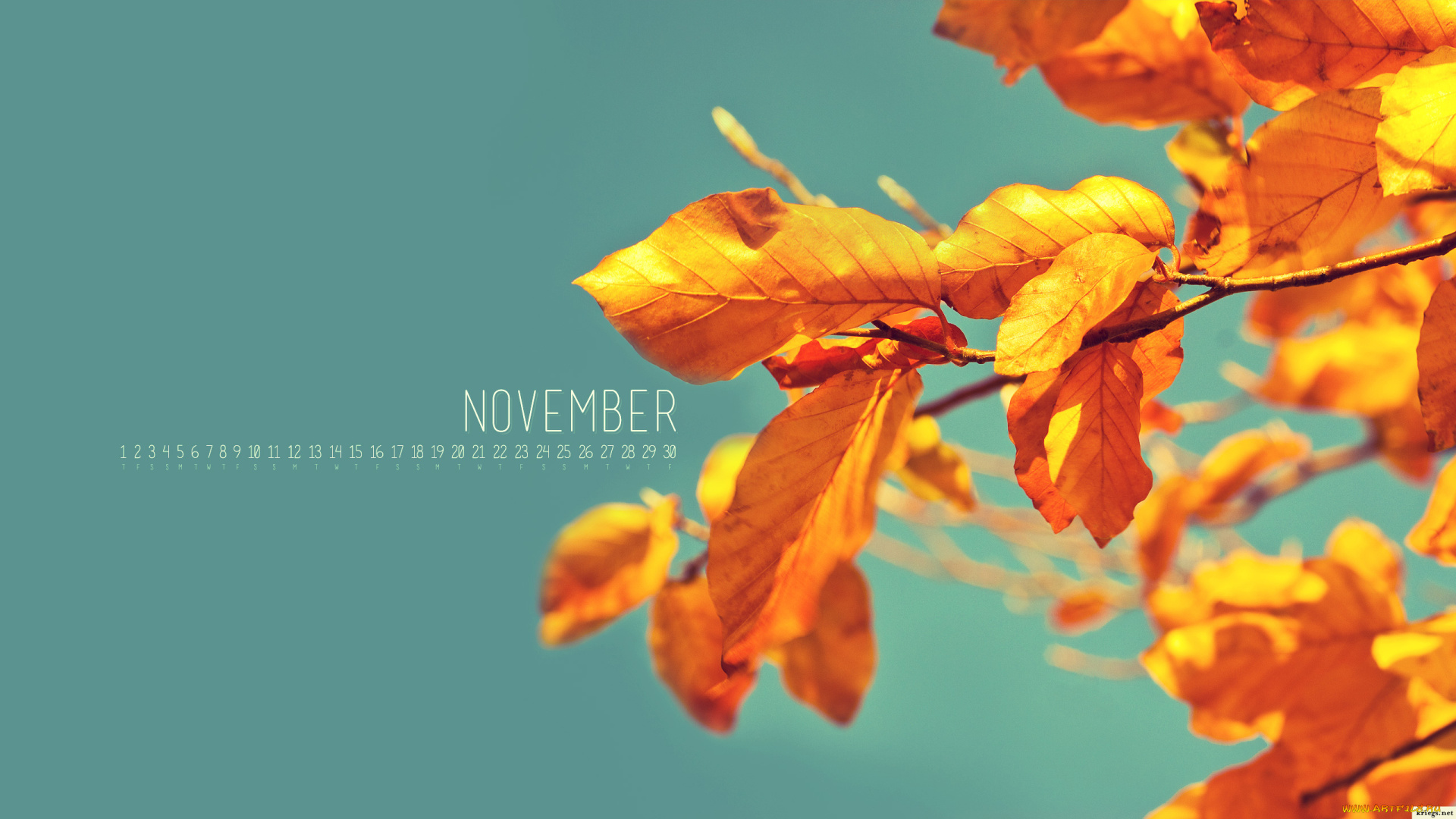 календари, природа, ветки, листья, осень