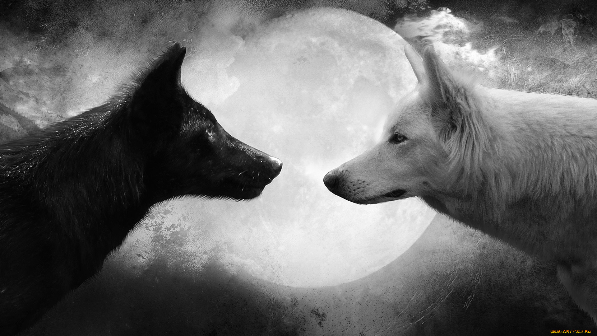 животные, волки, луна