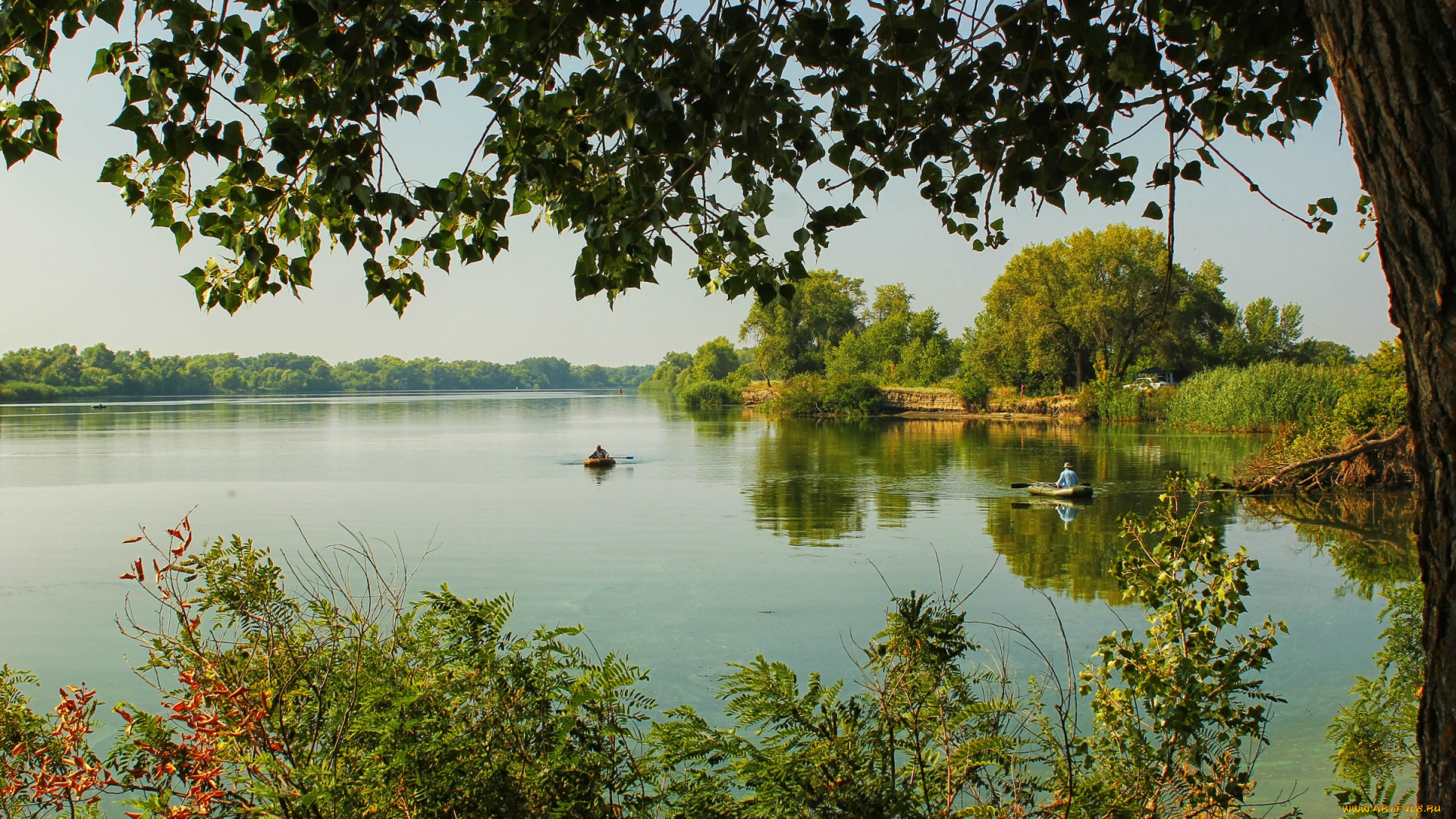 природа, реки, озера, вода, дерево