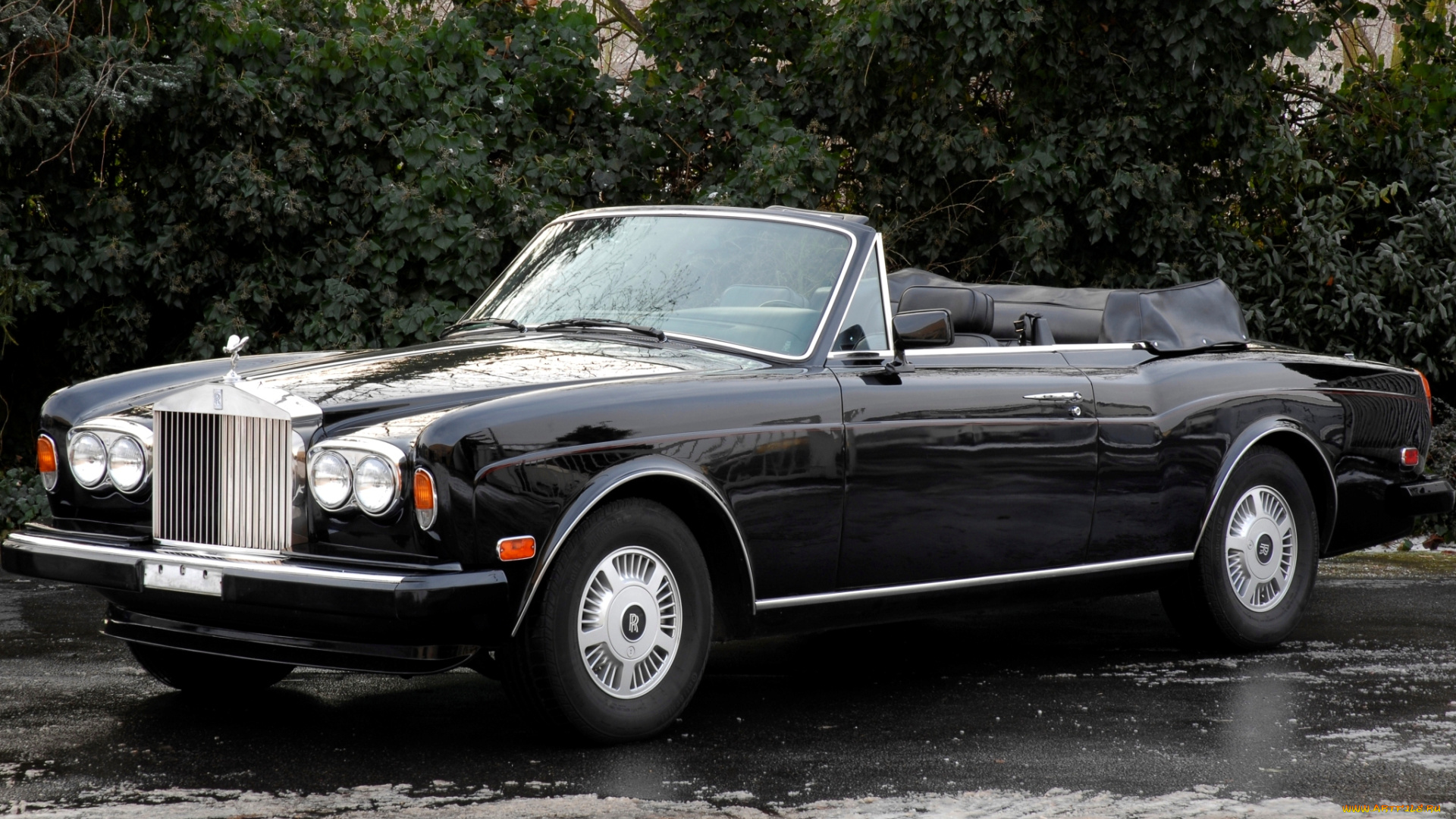 rolls, royce, corniche, автомобили, великобритания, класс-люкс, rolls-royce, motor, cars, ltd