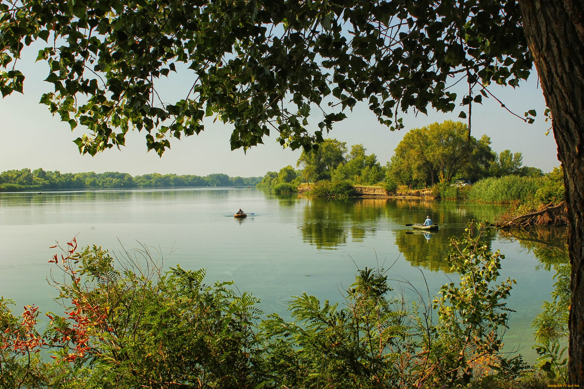 природа, реки, озера, вода, дерево