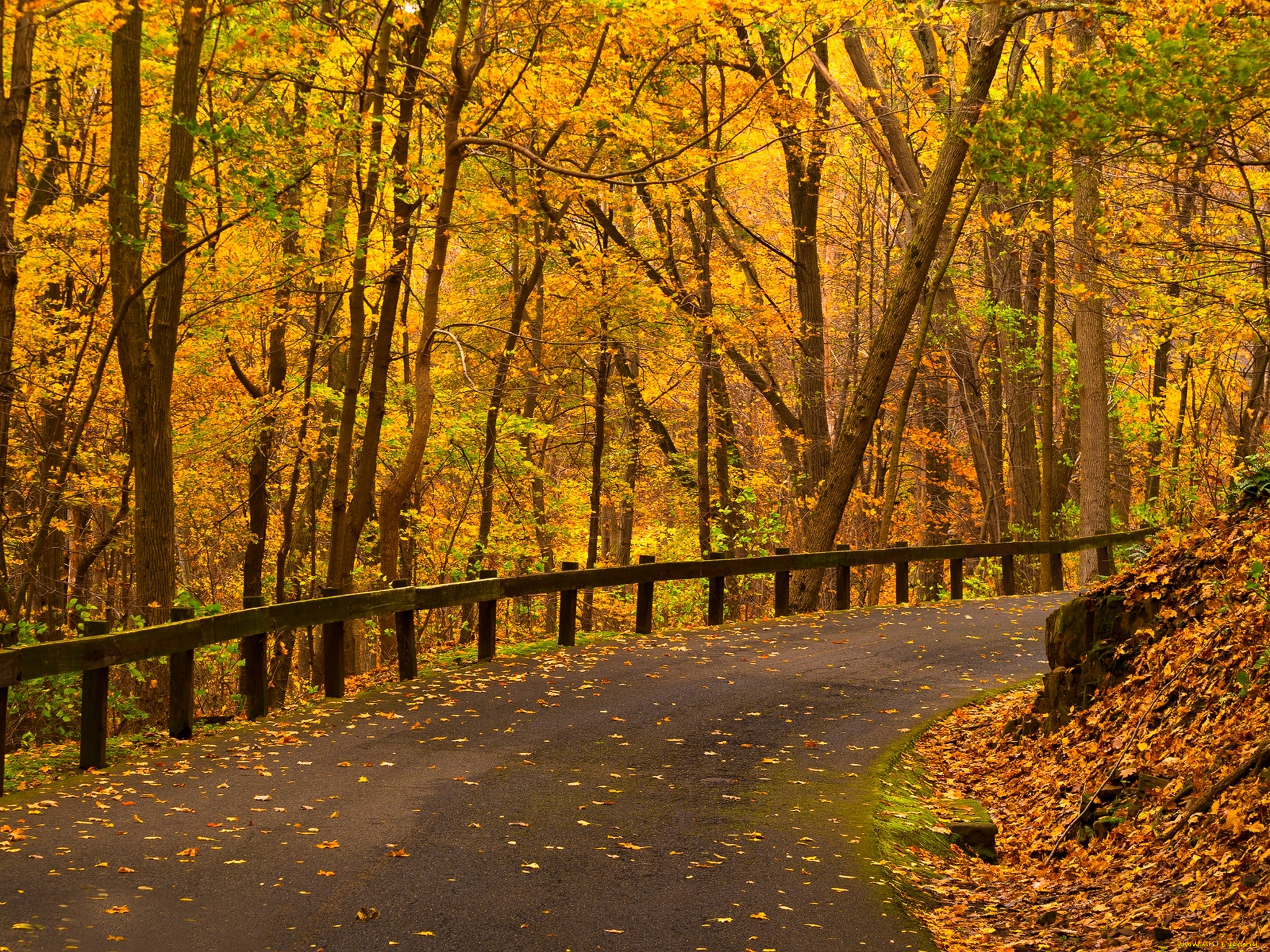 природа, дороги, осень, листья, парк, лес, дорога, деревья, nature, path, road, colorful, leaves, trees, park, forest, walk, colors, fall, autumn