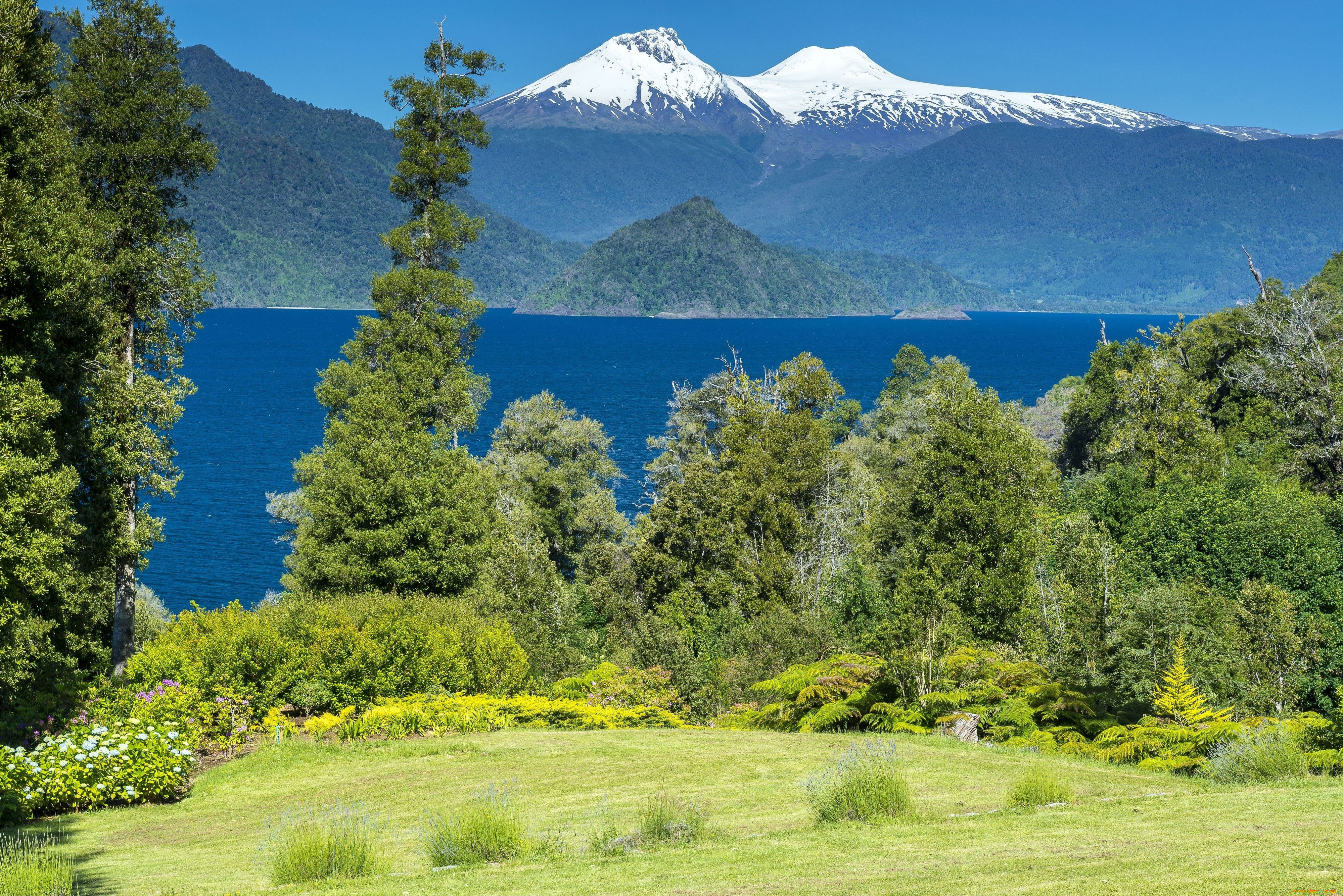 Чили, природа, пейзажи, озеро, горы, деревья