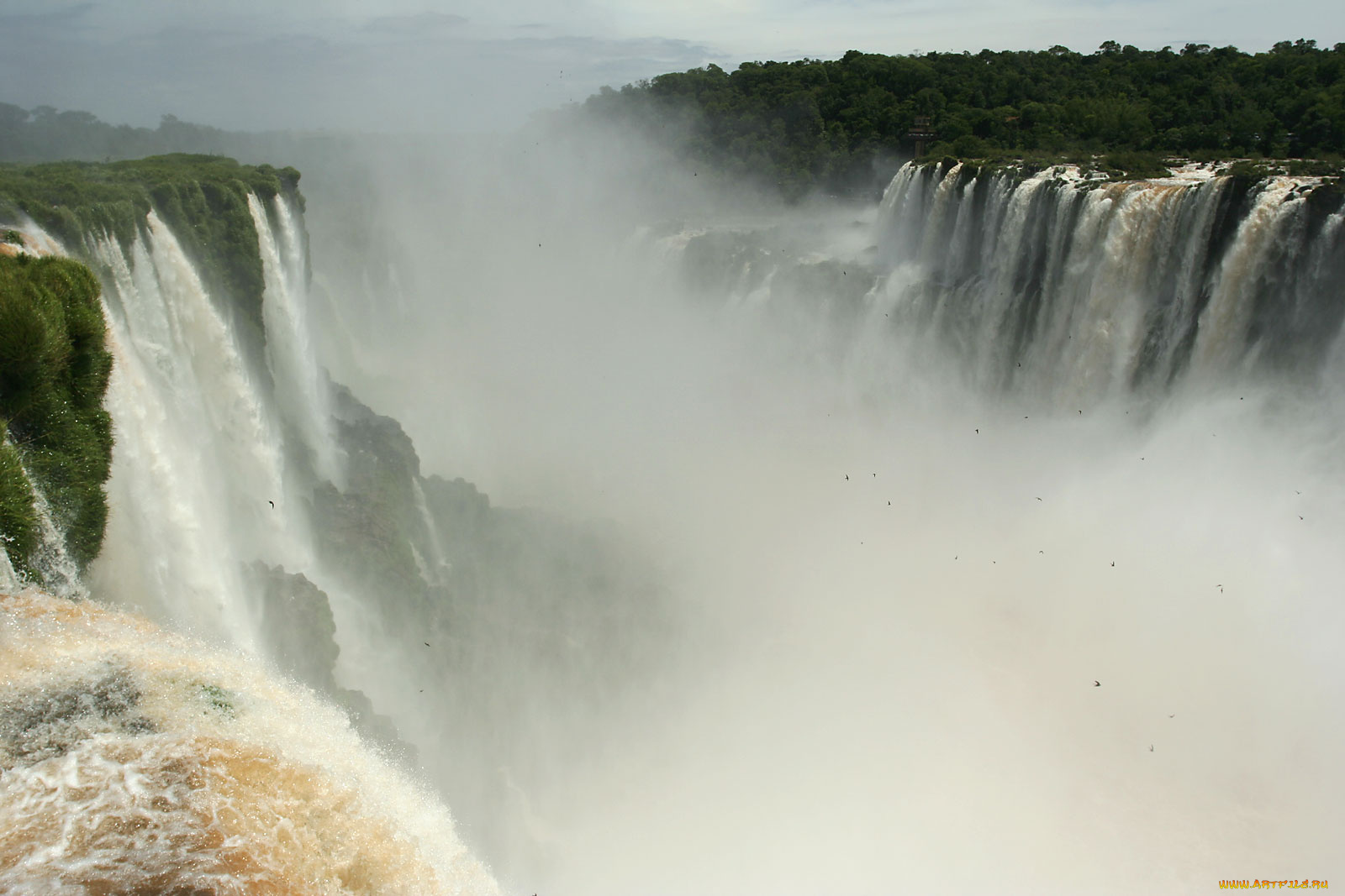 iguazu, falls, природа, водопады, потоки, воды