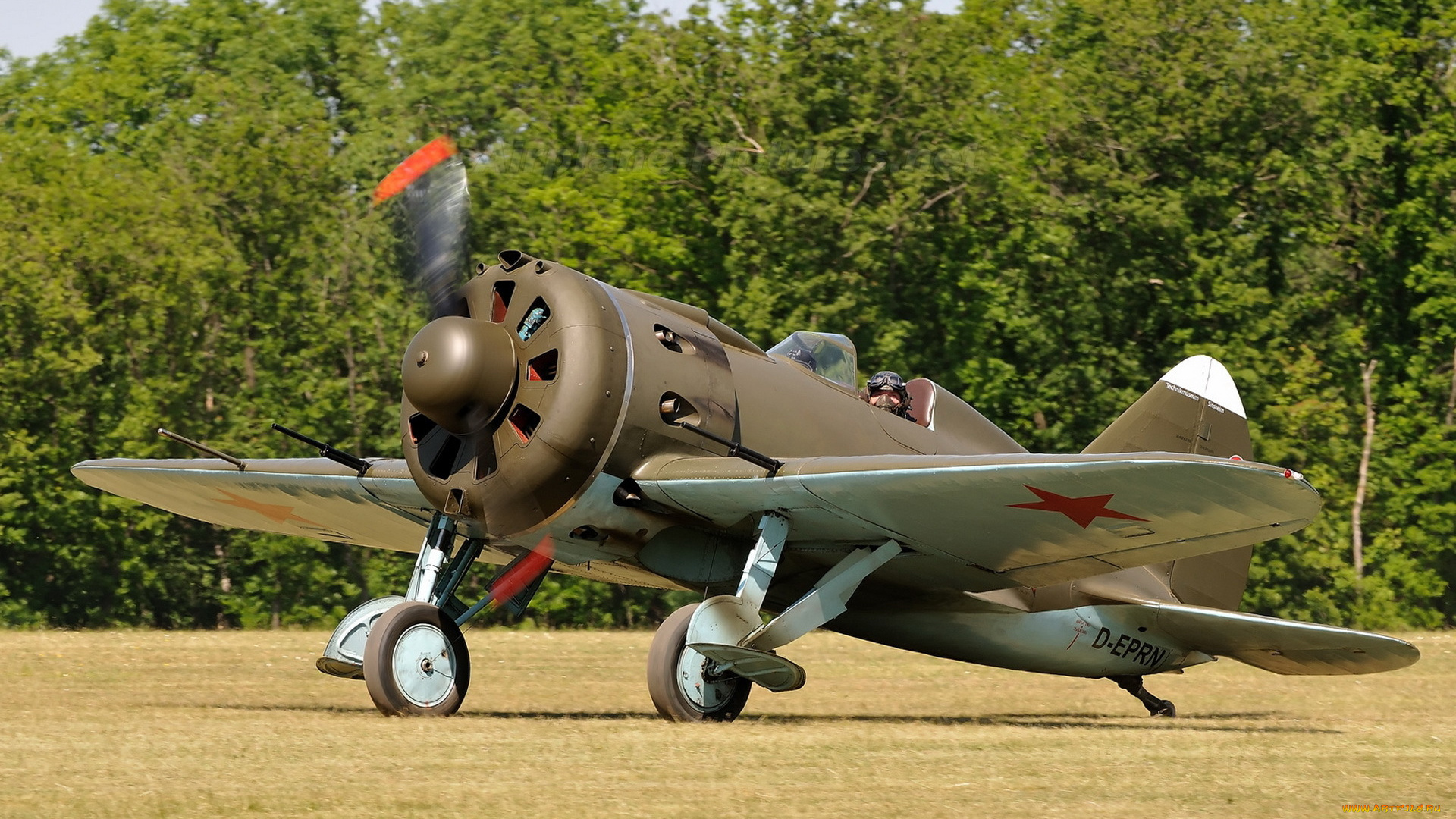 polikarpov, 16, type, 24, rata, авиация, лёгкие, одномоторные, самолёты