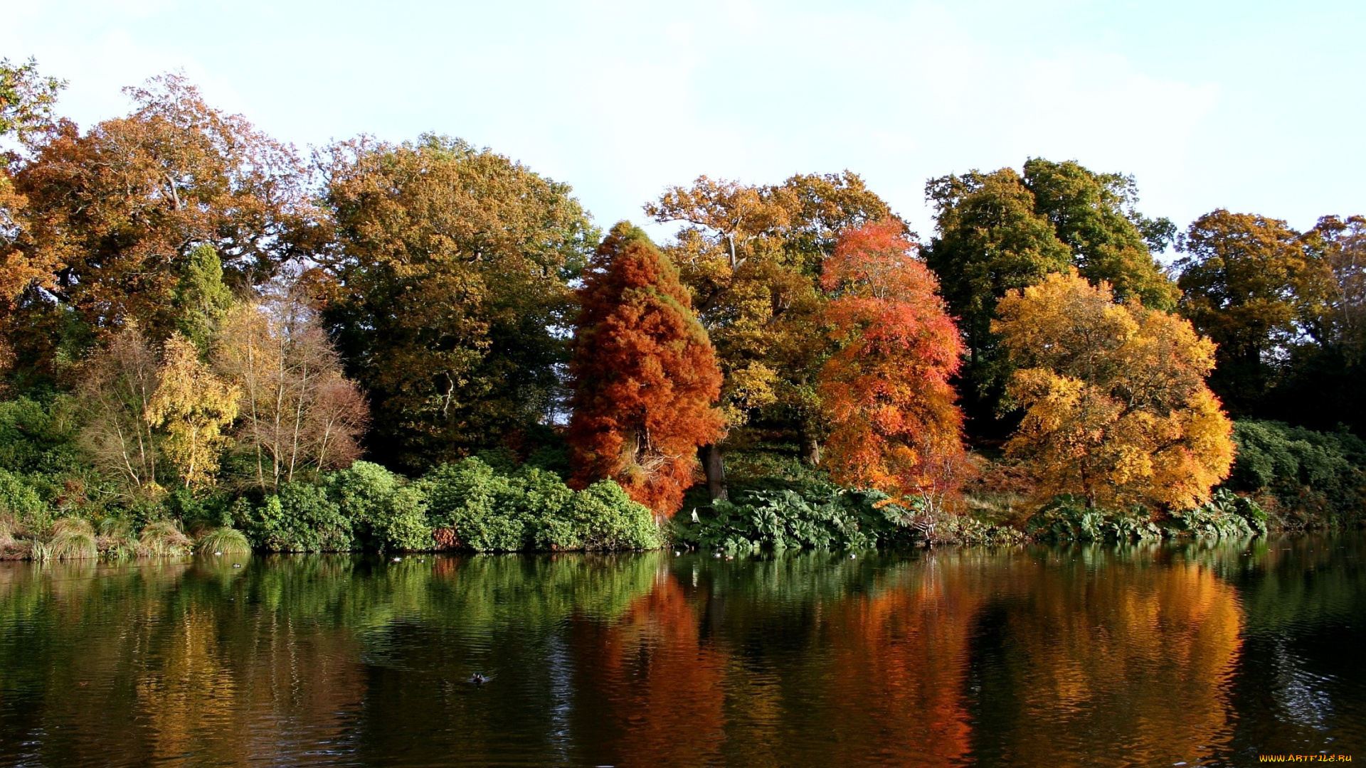 природа, реки, озера, осень, отражение, вода