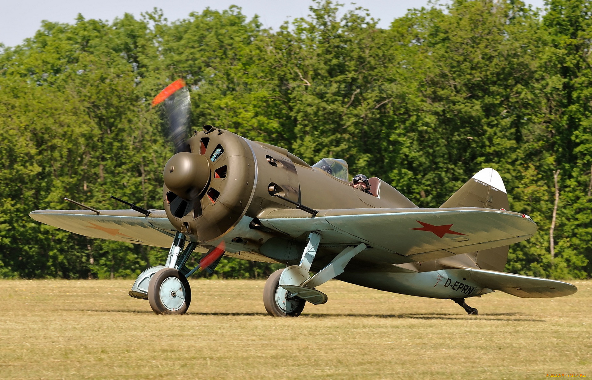 polikarpov, 16, type, 24, rata, авиация, лёгкие, одномоторные, самолёты