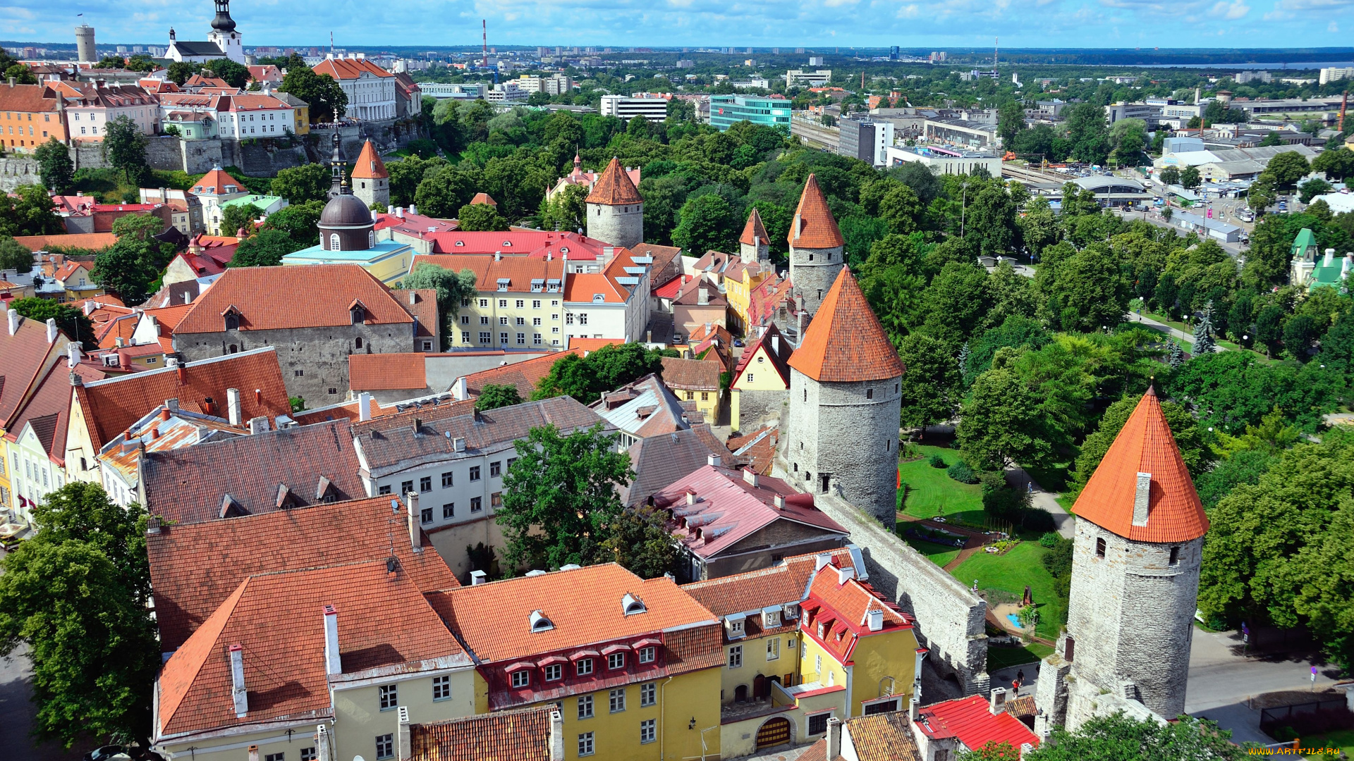 города, таллин, эстония, крыши, панорама