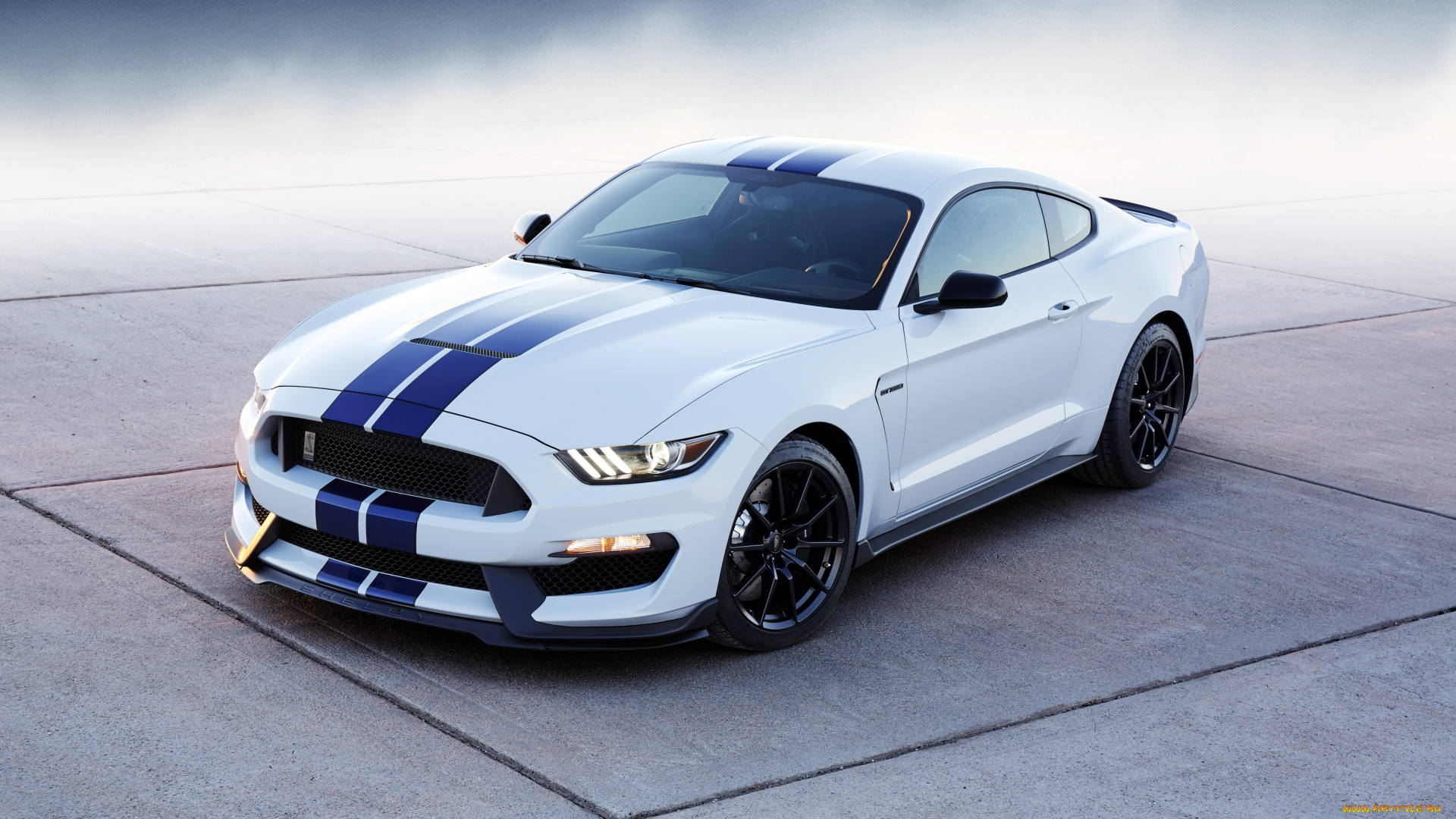 2015, ford, mustang, shelby, gt350, автомобили, mustang, ford, тюнинг, белый, shelby