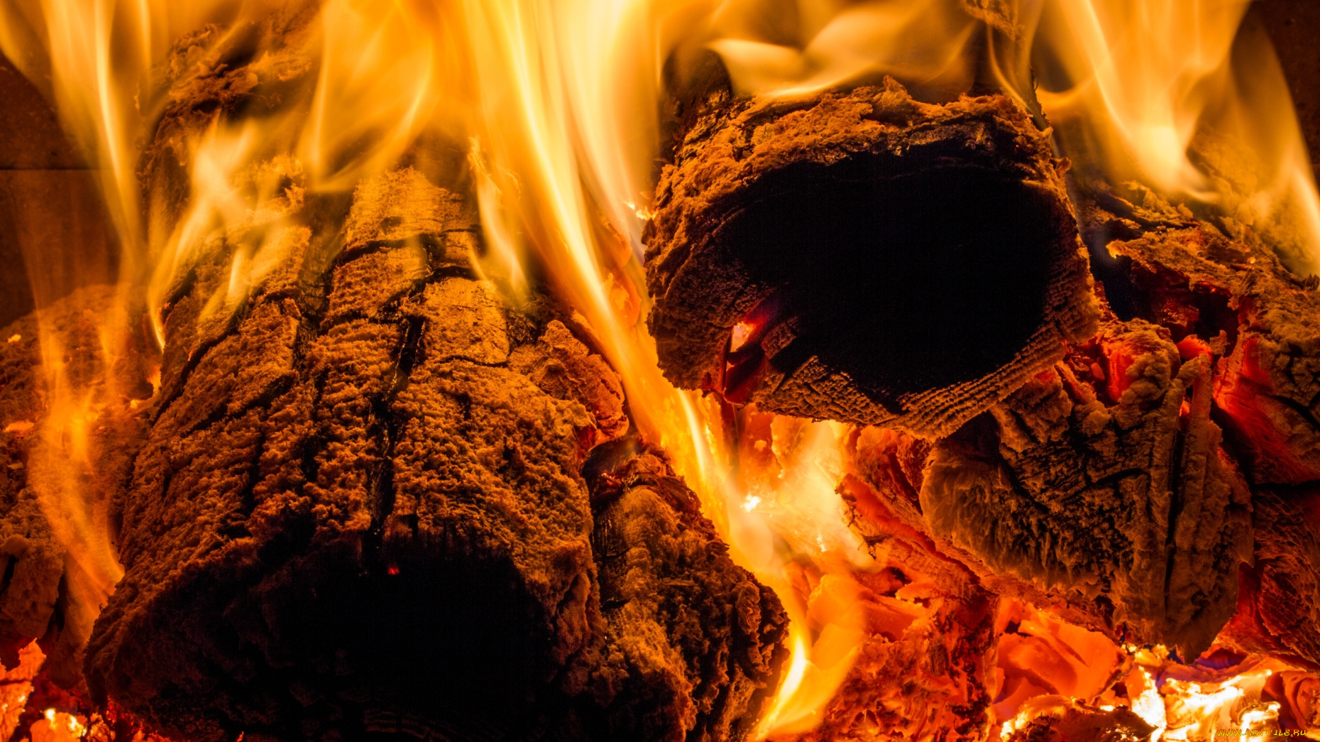 природа, огонь, жар, дрова, пламя