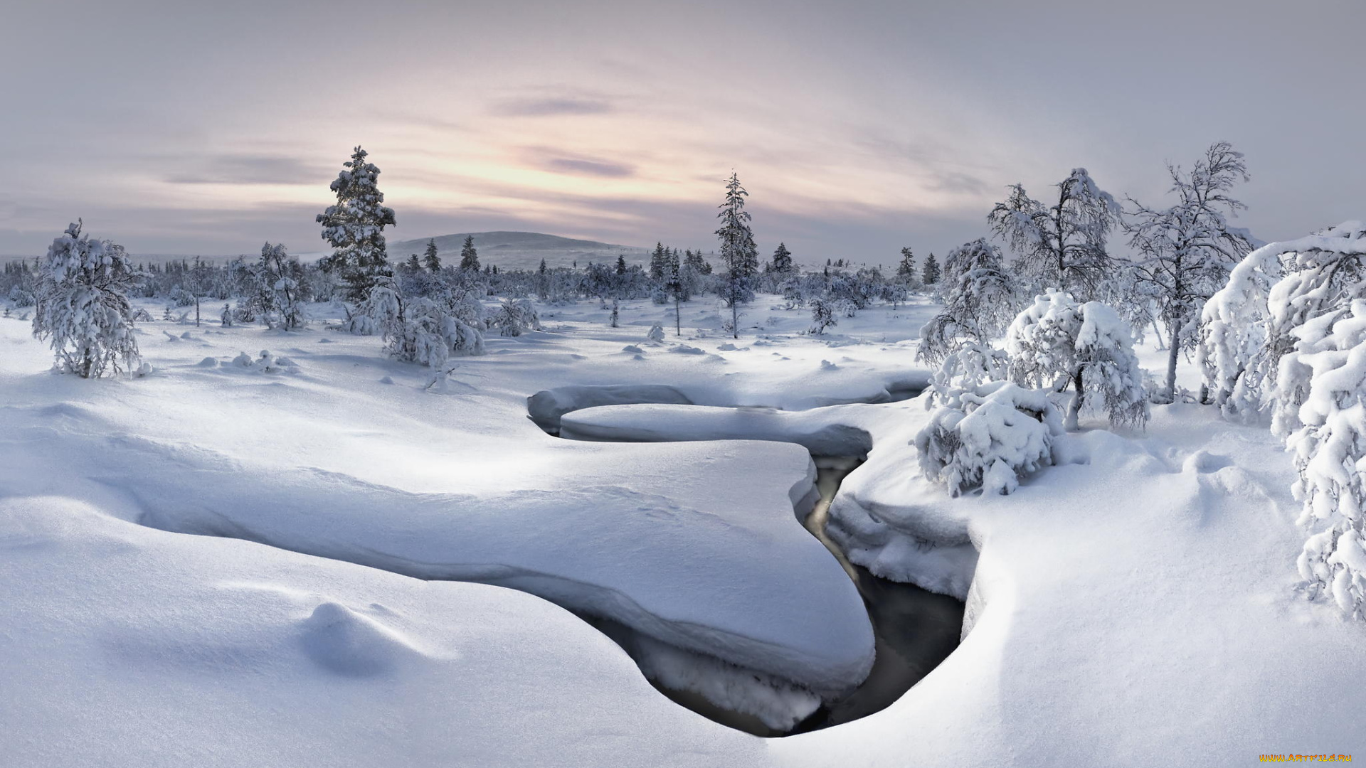природа, зима, река, лес, снег