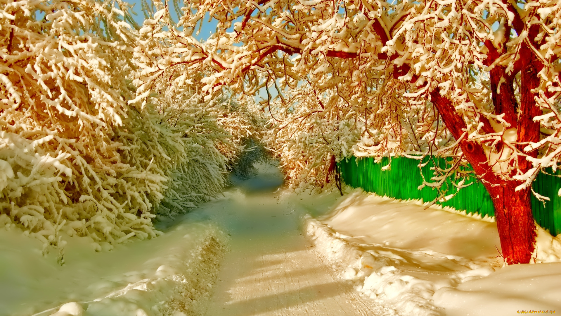 природа, зима, снег, дорога, улица, забор, деревья