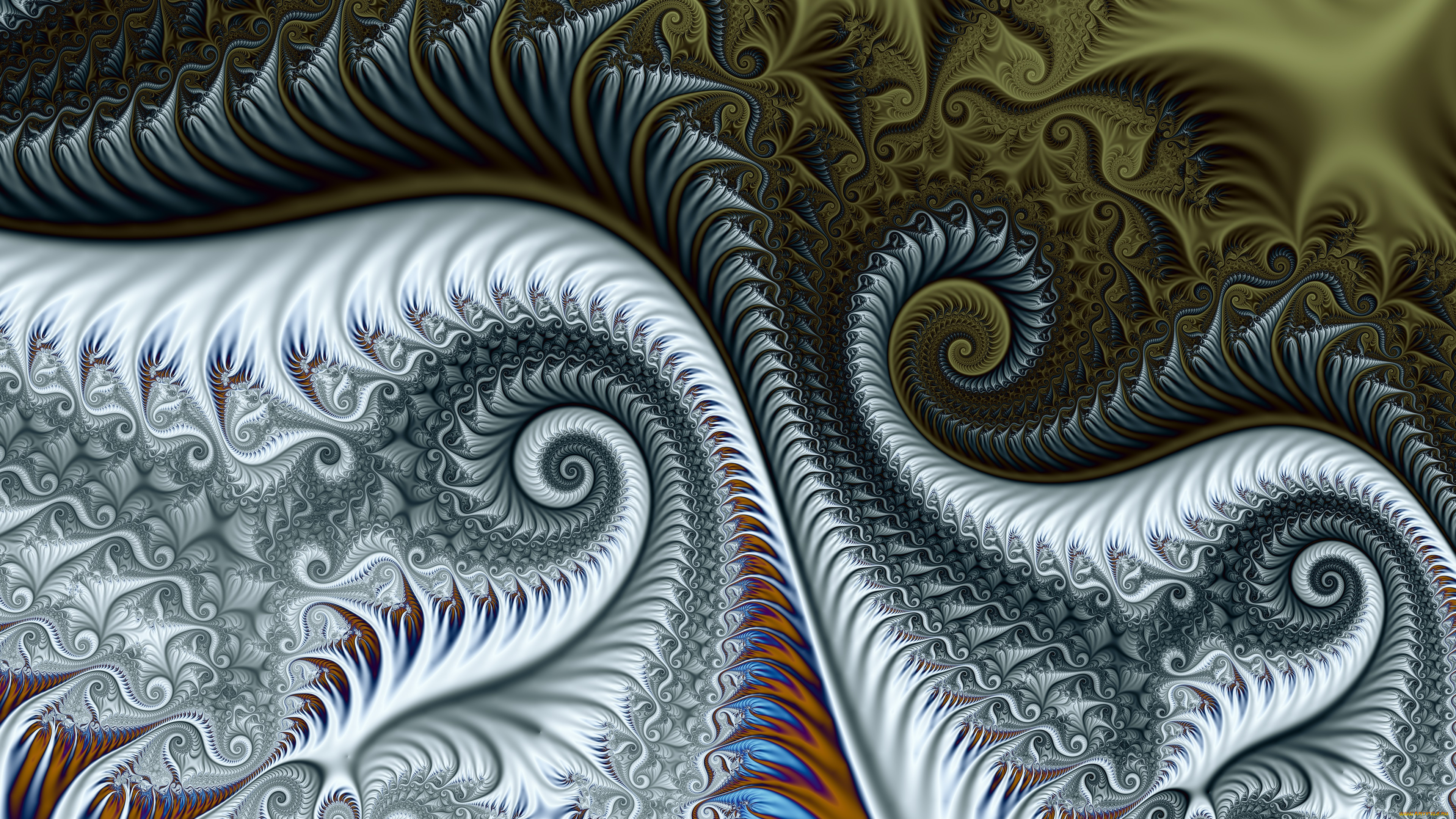 3д, графика, фракталы, , fractal, узор, фон, цвета