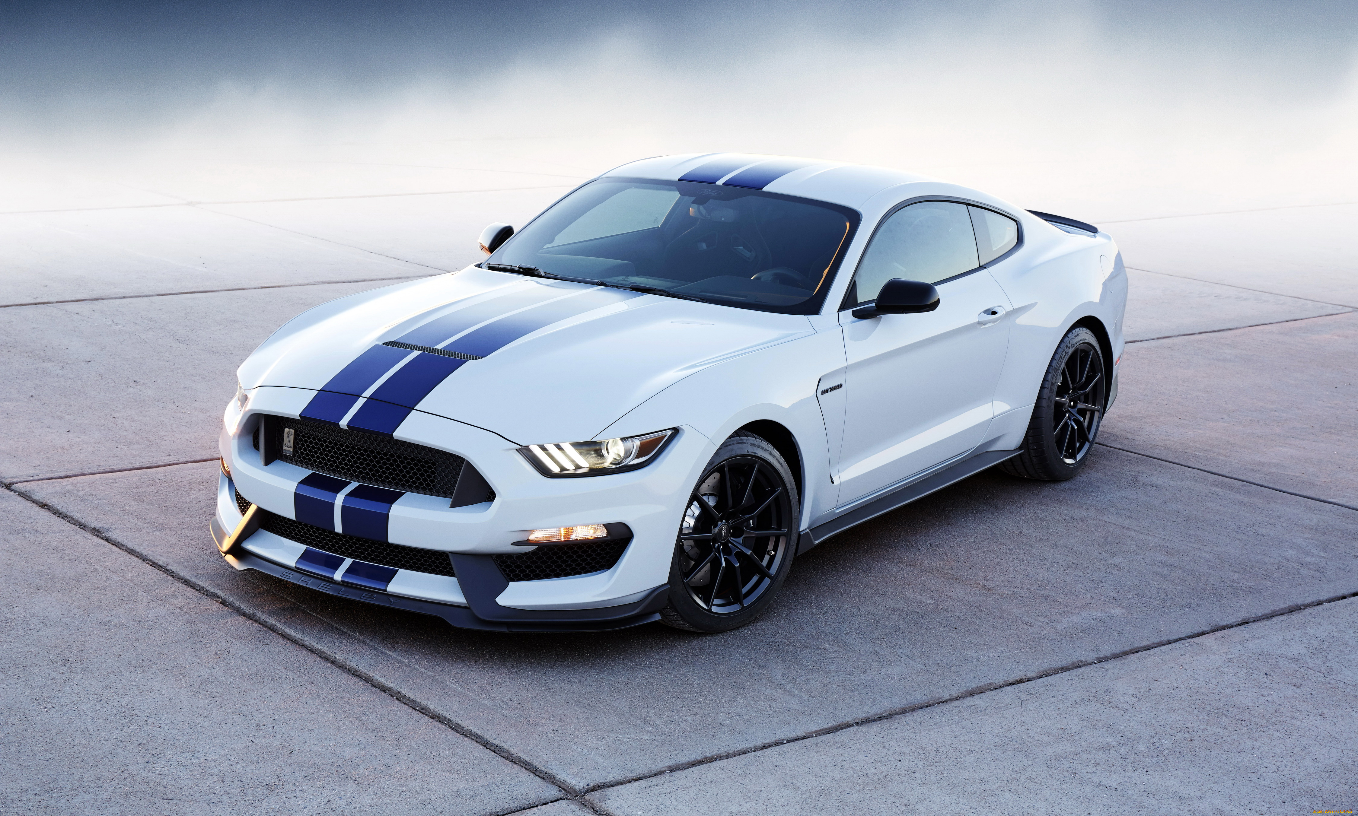 2015, ford, mustang, shelby, gt350, автомобили, mustang, ford, тюнинг, белый, shelby