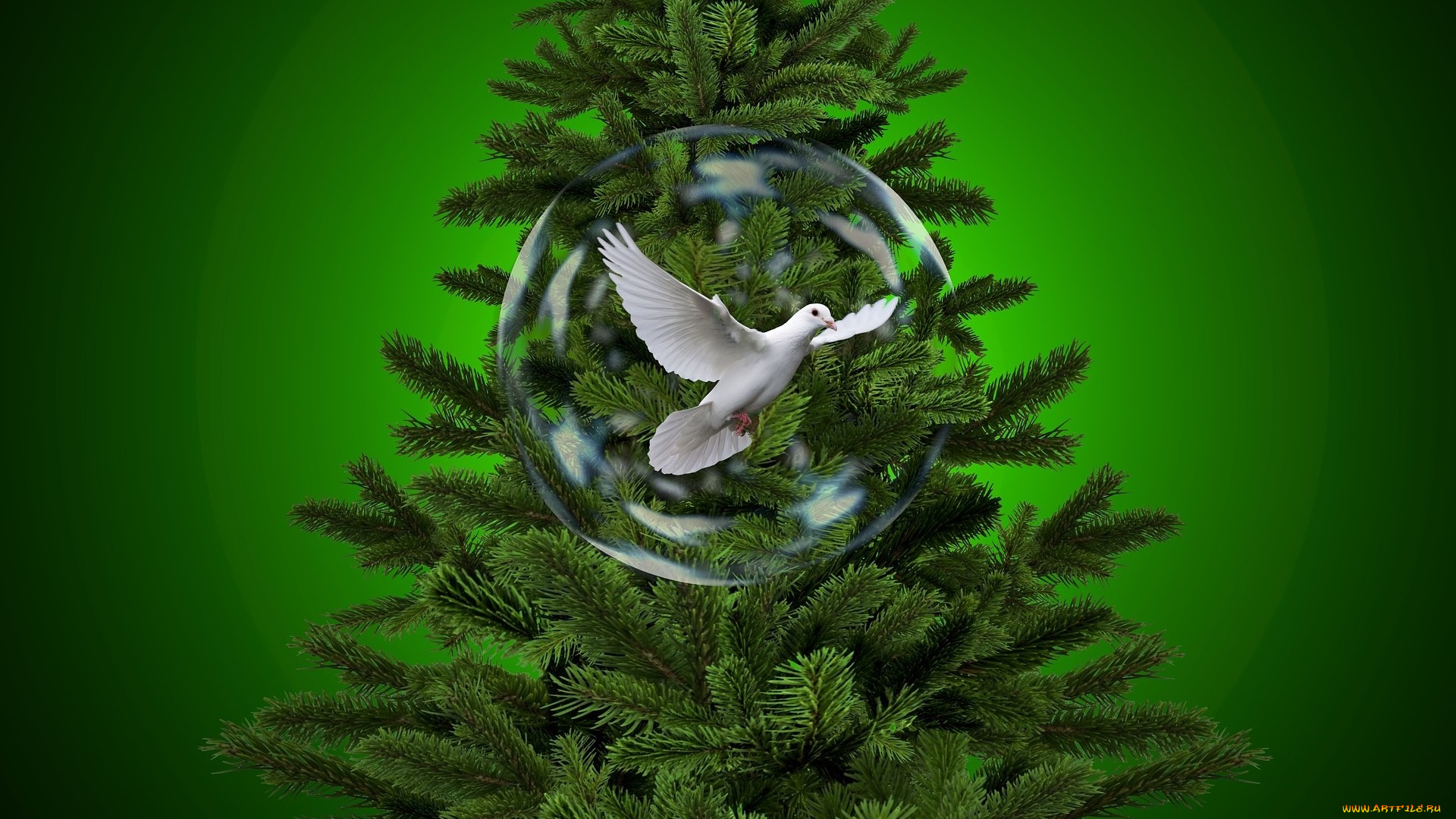 праздничные, Ёлки, голубь, елка