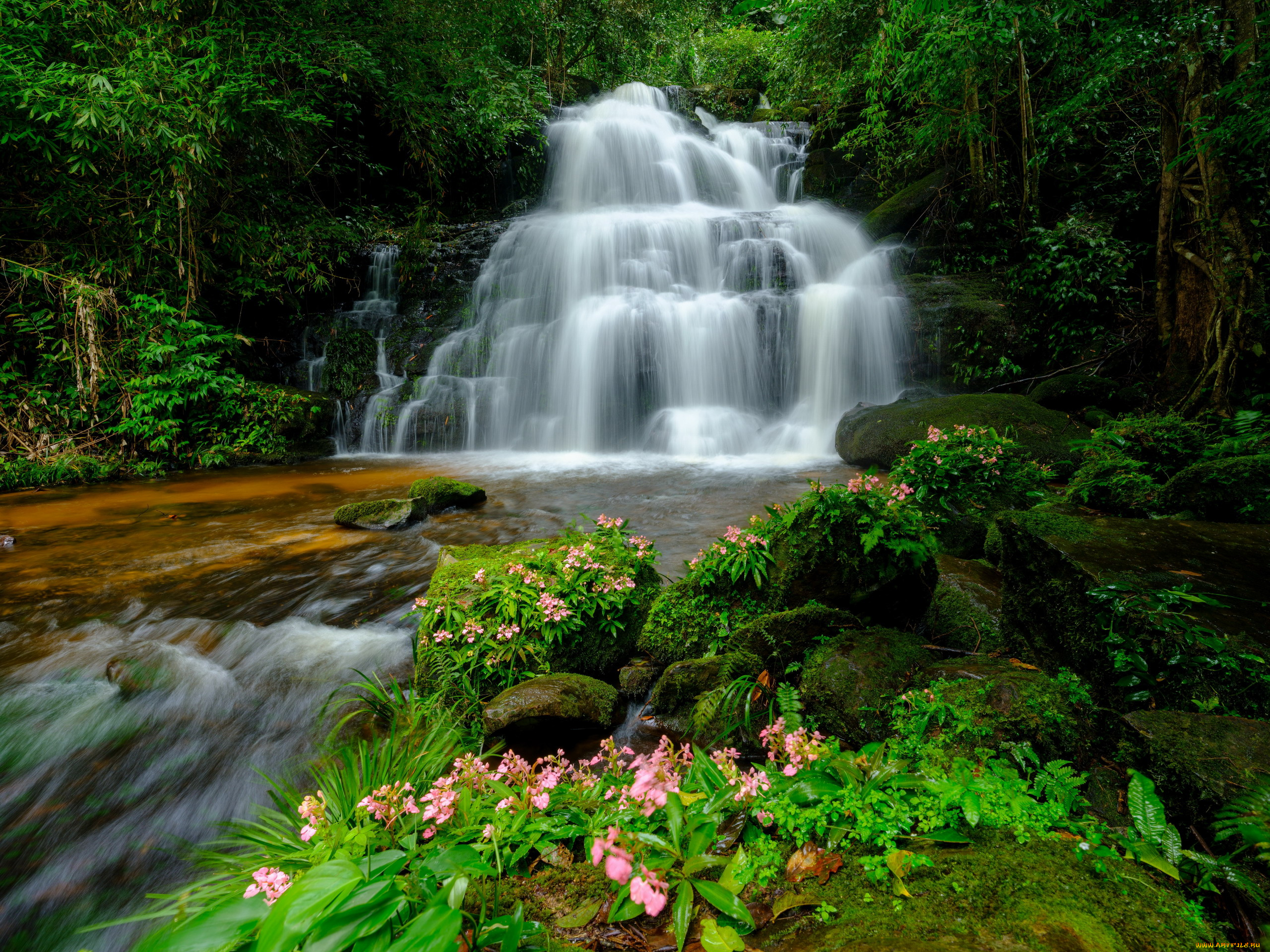 man, daeng, waterfall, loei, province, thailand, природа, водопады, man, daeng, waterfall, loei, province