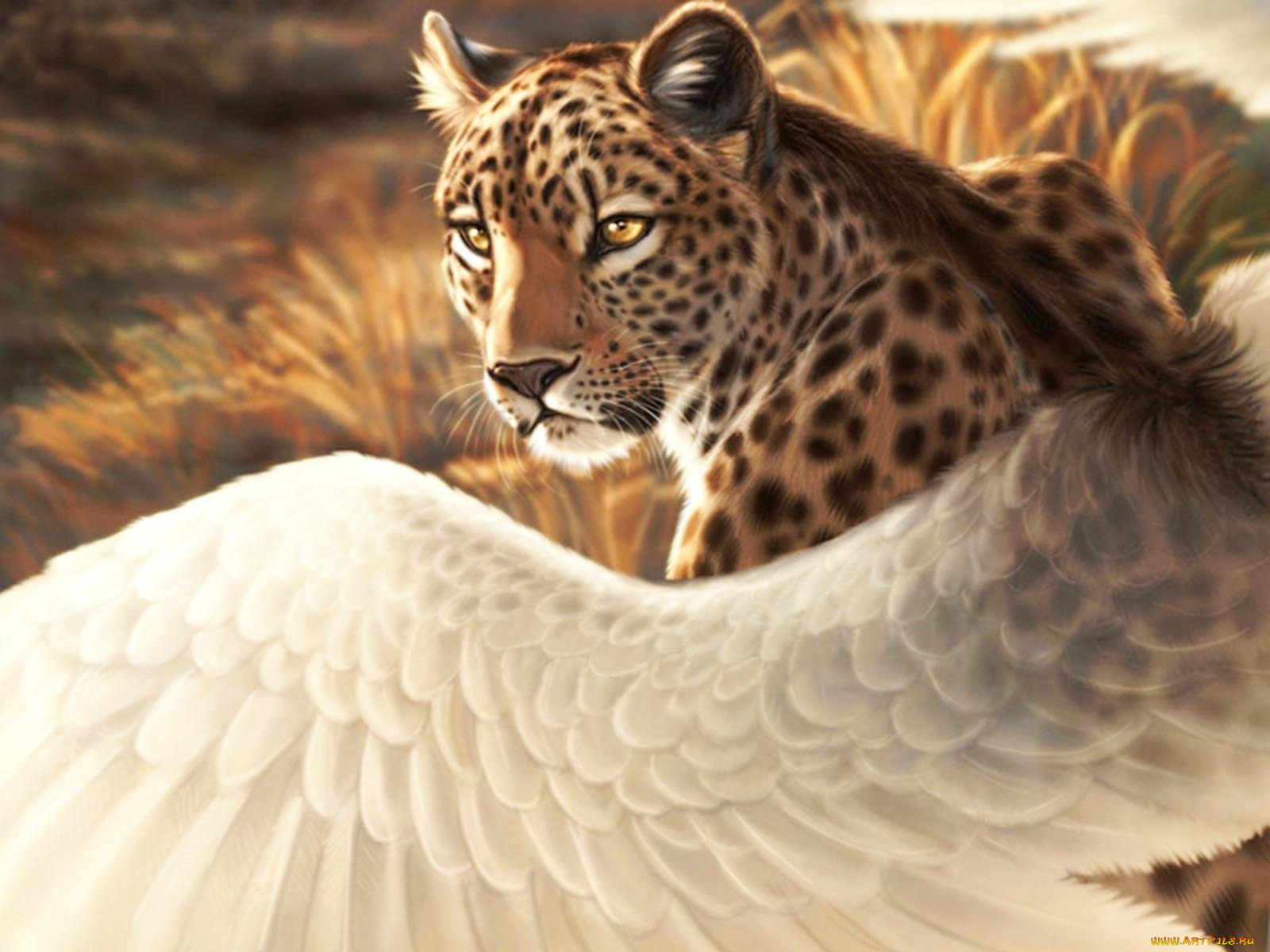 рисованные, животные, леопард, крылья