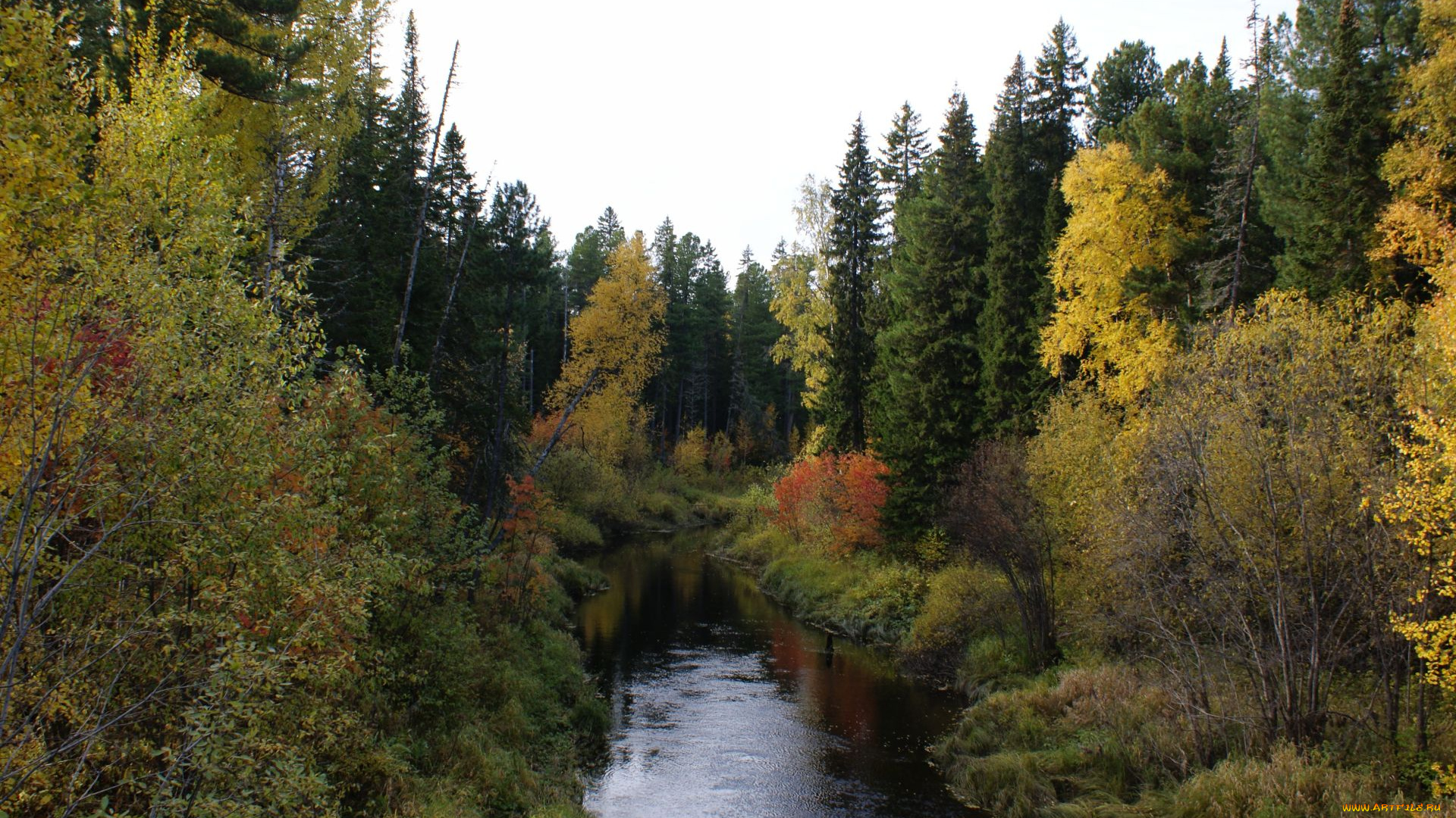 природа, нижневартовска, реки, озера, лес, деревья, осень, река